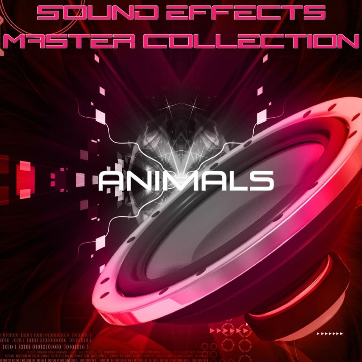 Sound Effects Master Collection 2 - Animals