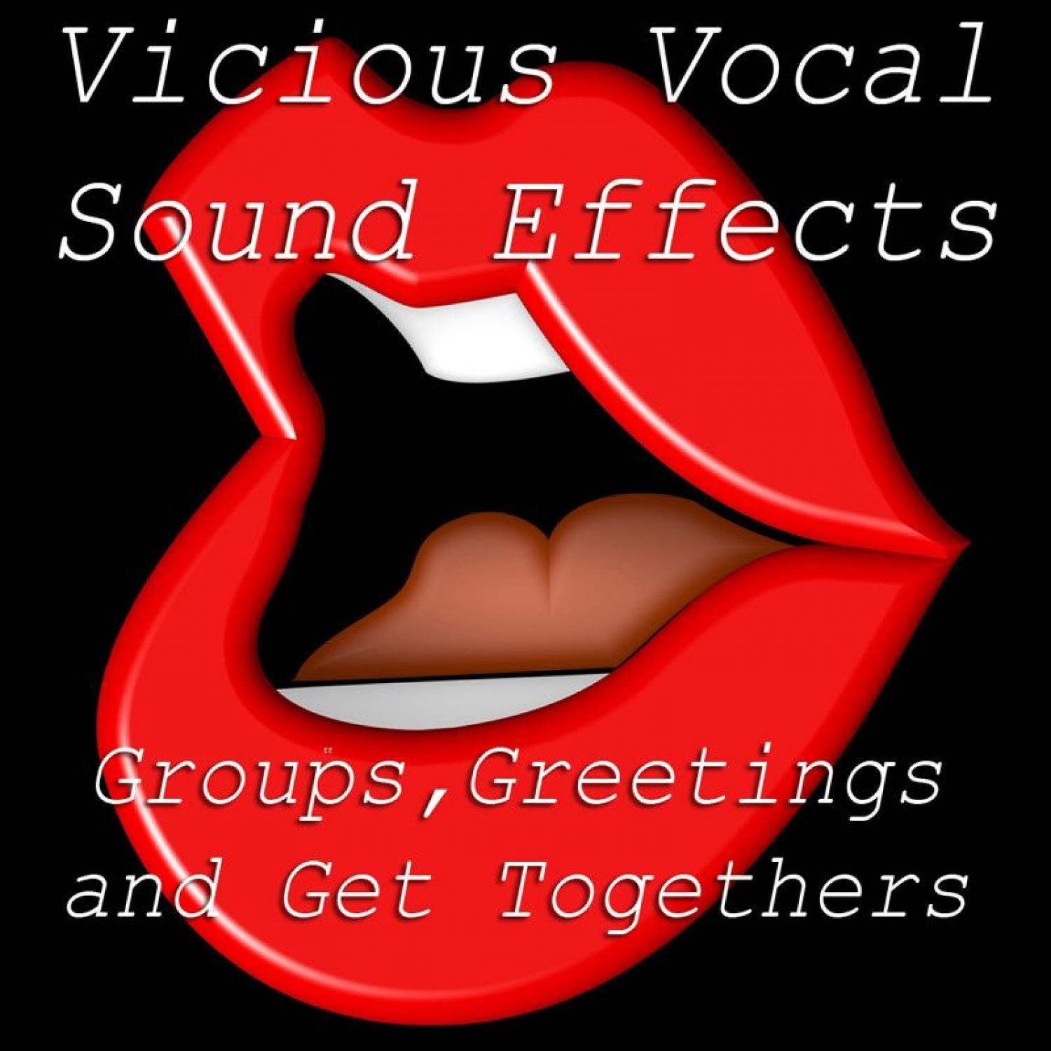 Vicious Vocal Sound Effects 13 - Groups | Greetings and Get Togethers