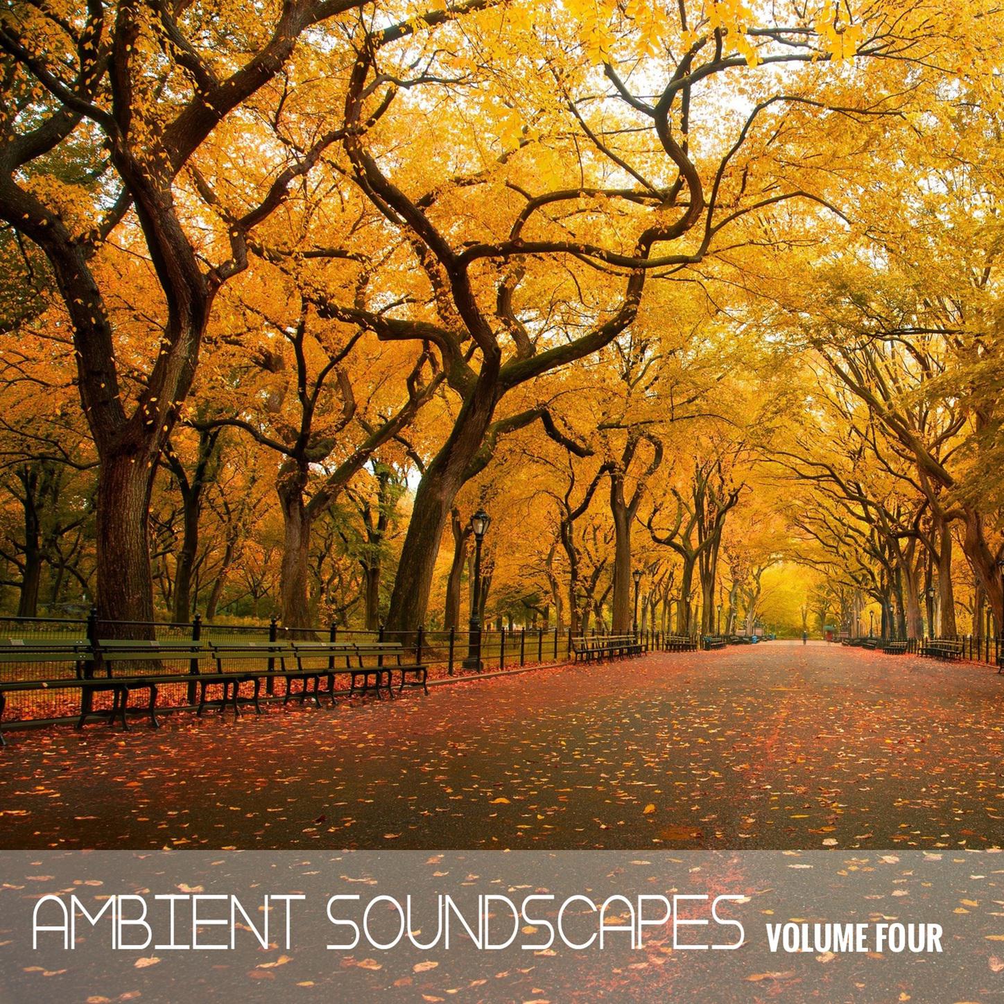 Ambient SoundScapes, Vol 4 - Michael Horsphol