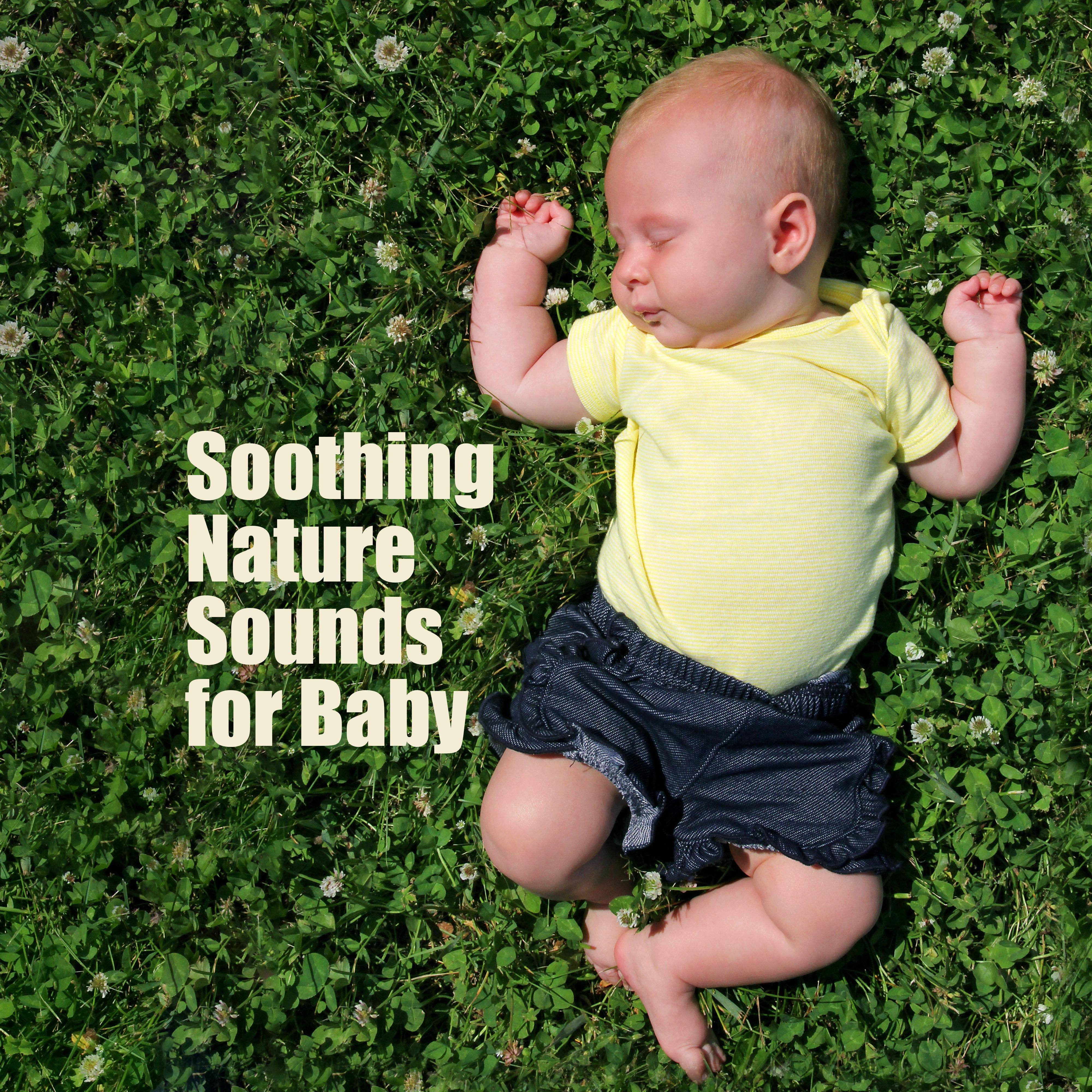 Soothing Nature Sounds for Baby – Healing Music for Deeper Sleep, Sleep Songs for Kids, Calming Lullabies at Night, Zen Sleep, Sweet Nap
