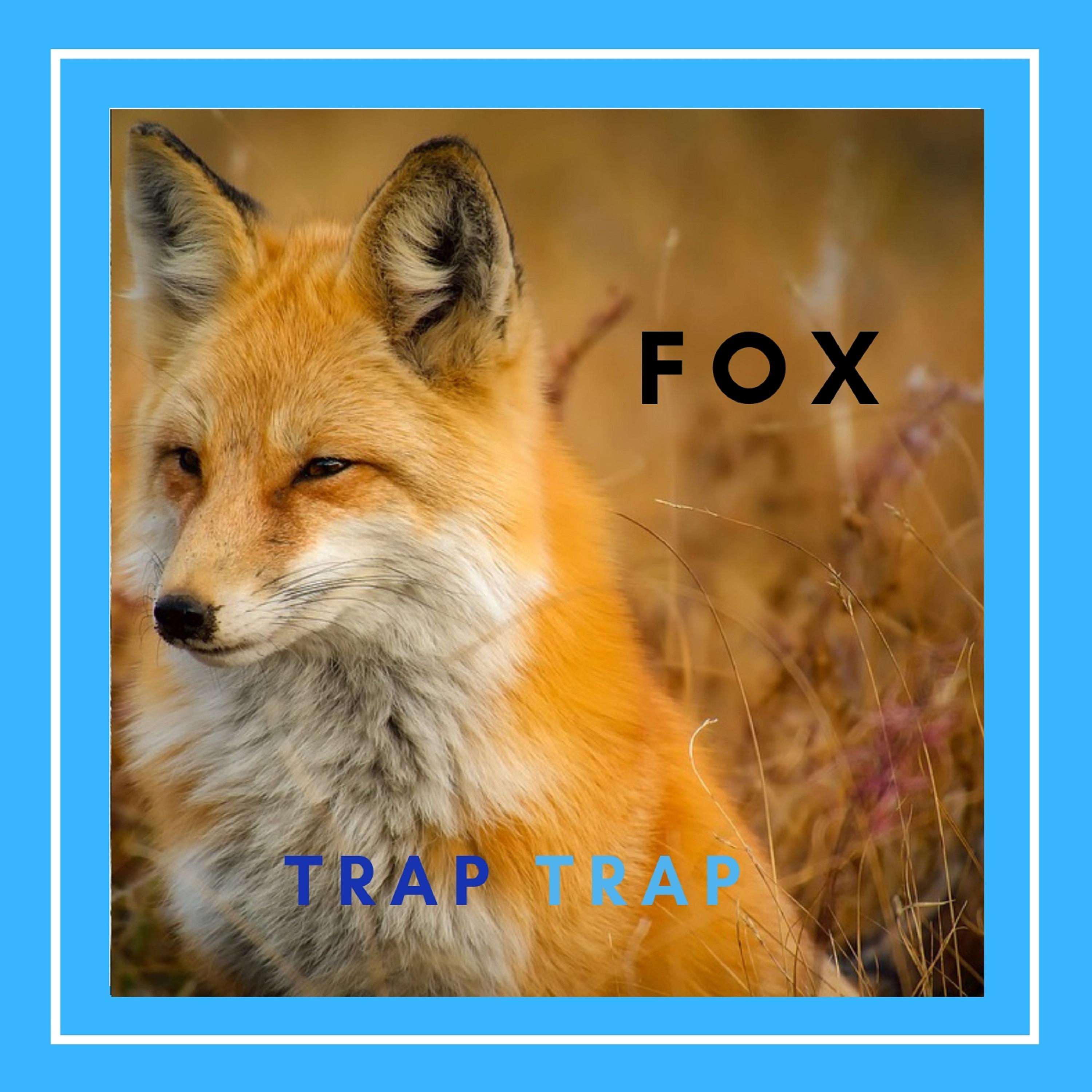 FOX TRAP TRAP