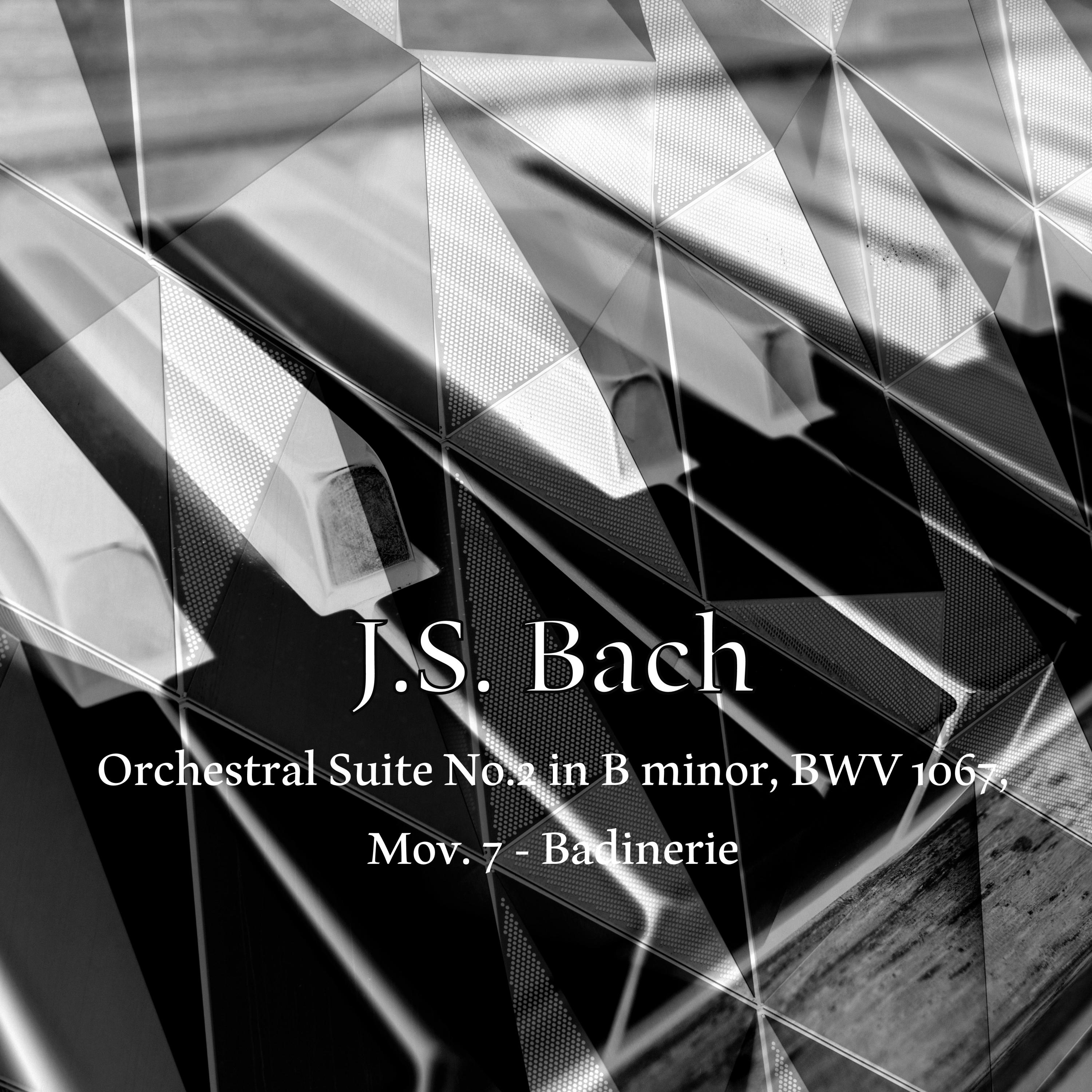 Bach: Orchestral Suite No.2 in B minor, BWV 1067, Mov. 7 Badinerie