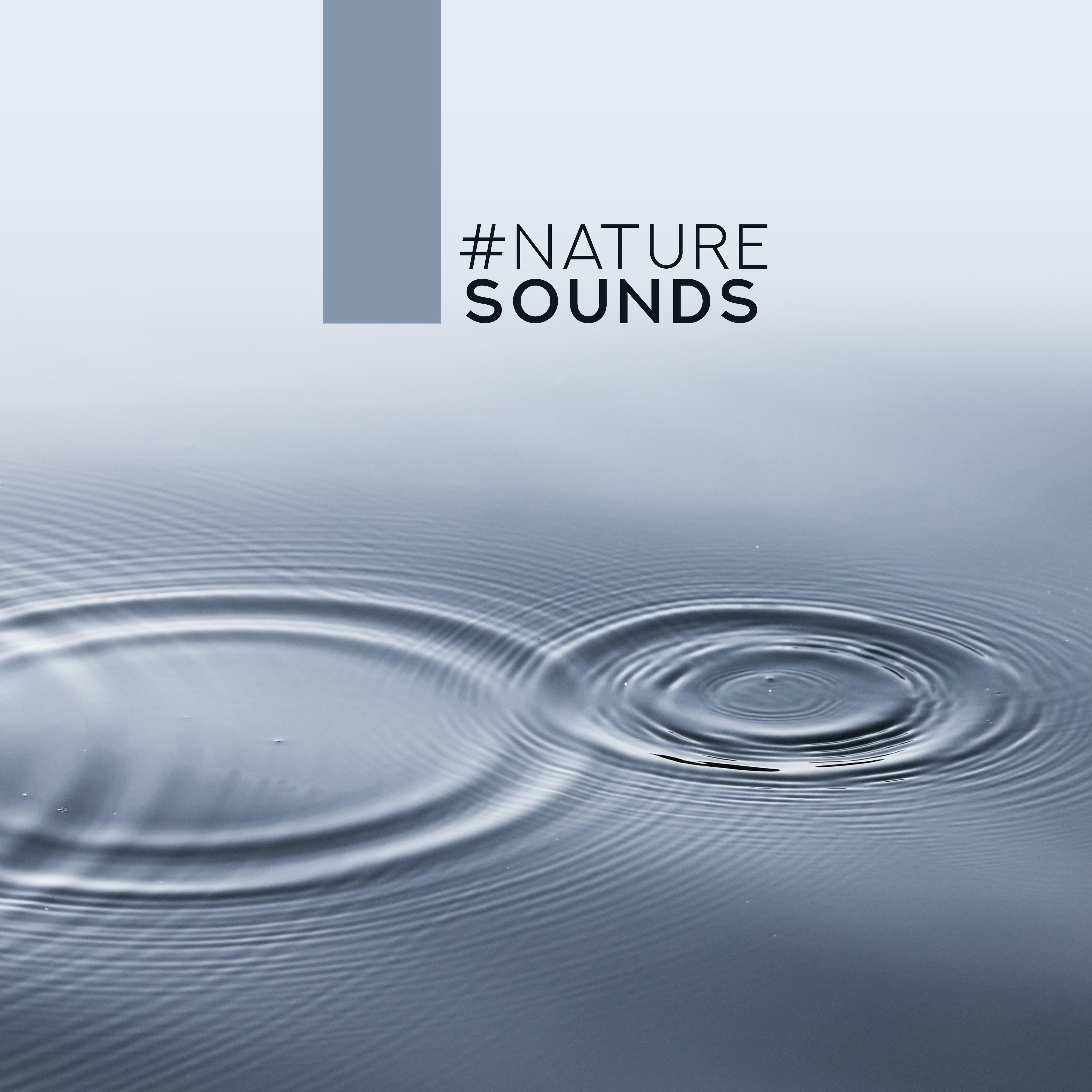 #nature sounds – Relaxing Music for Spa, Sleep, Relaxation, Nature Music, Soothing Nature Sounds to Calm Down