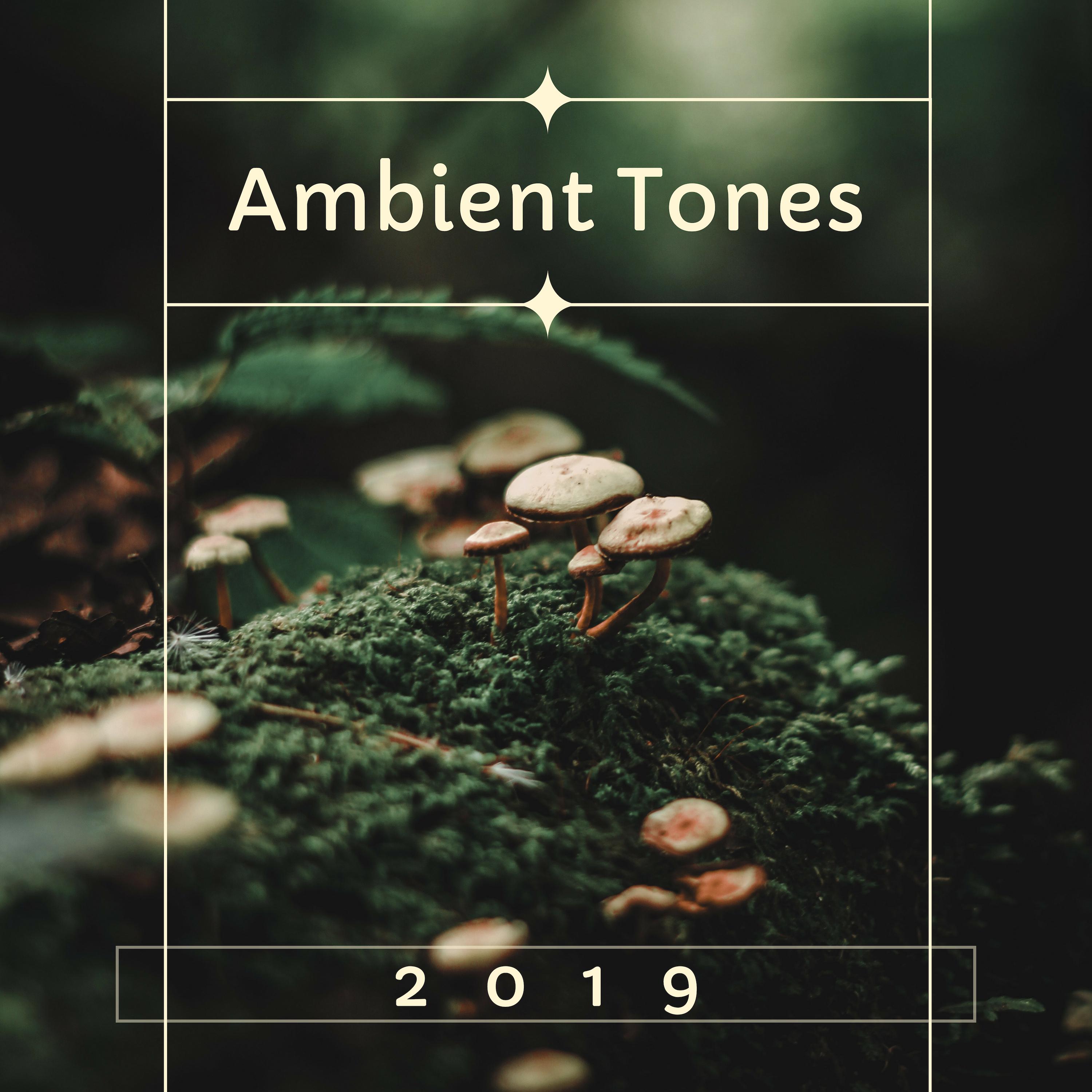 Ambient Tones 2019: Relaxing Mellow Beats with Nature Sounds
