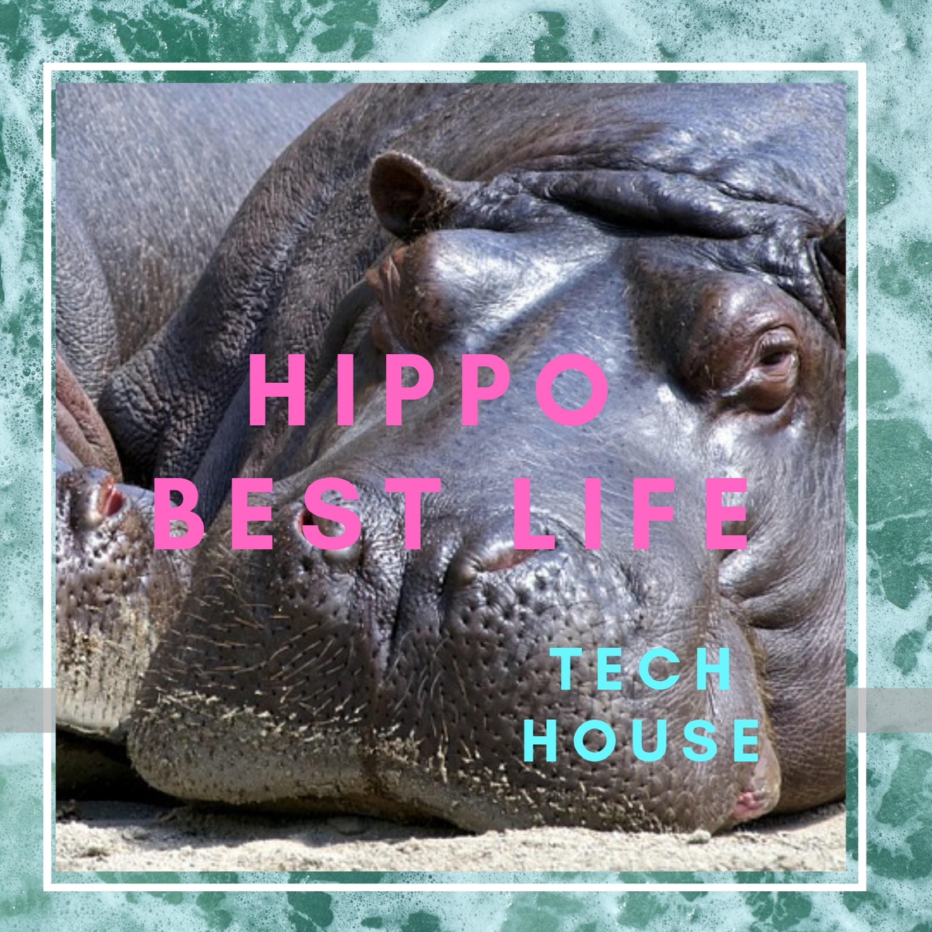 HIPPO BEST LIFE TECH HOUSE