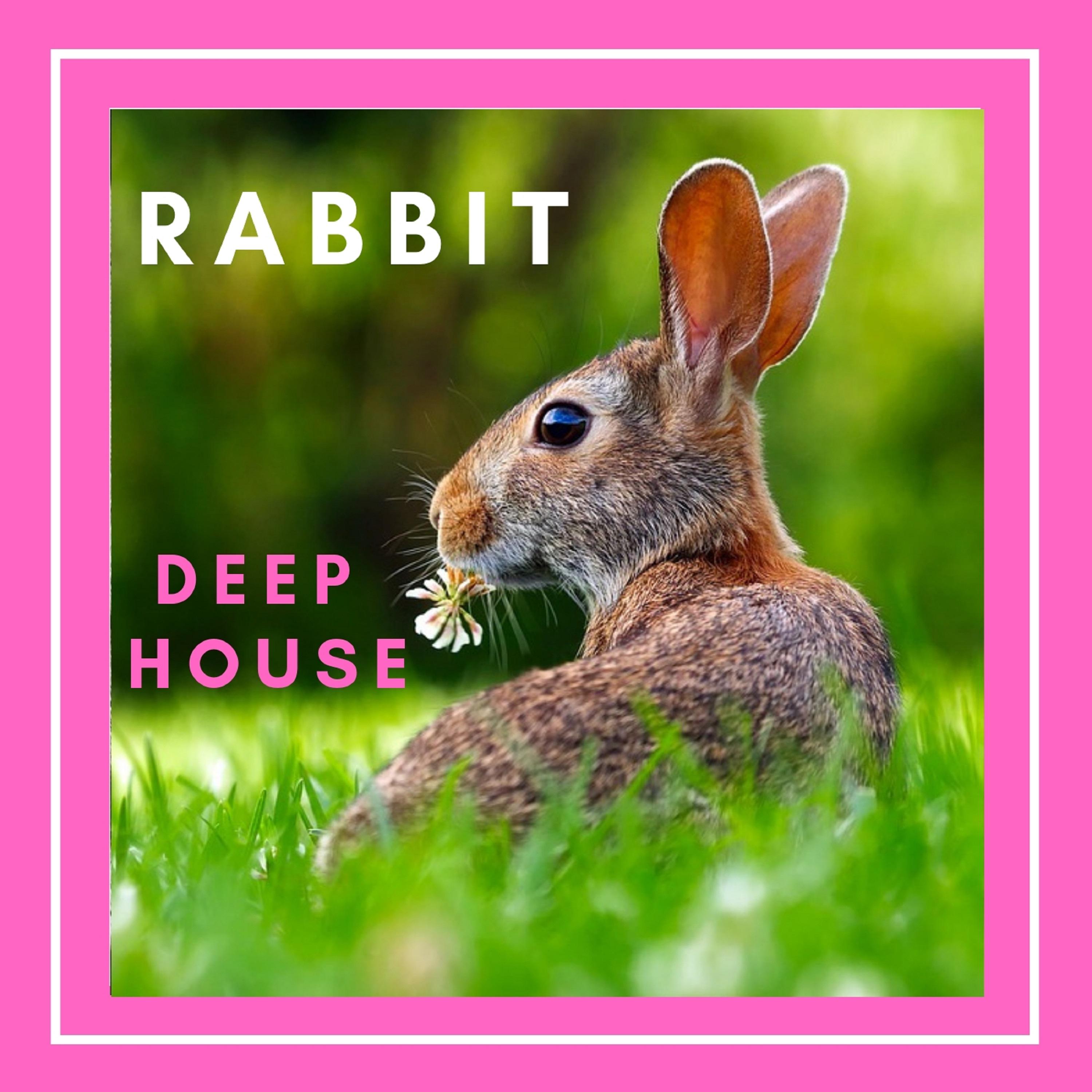 RABBIT DEEP HOUSE