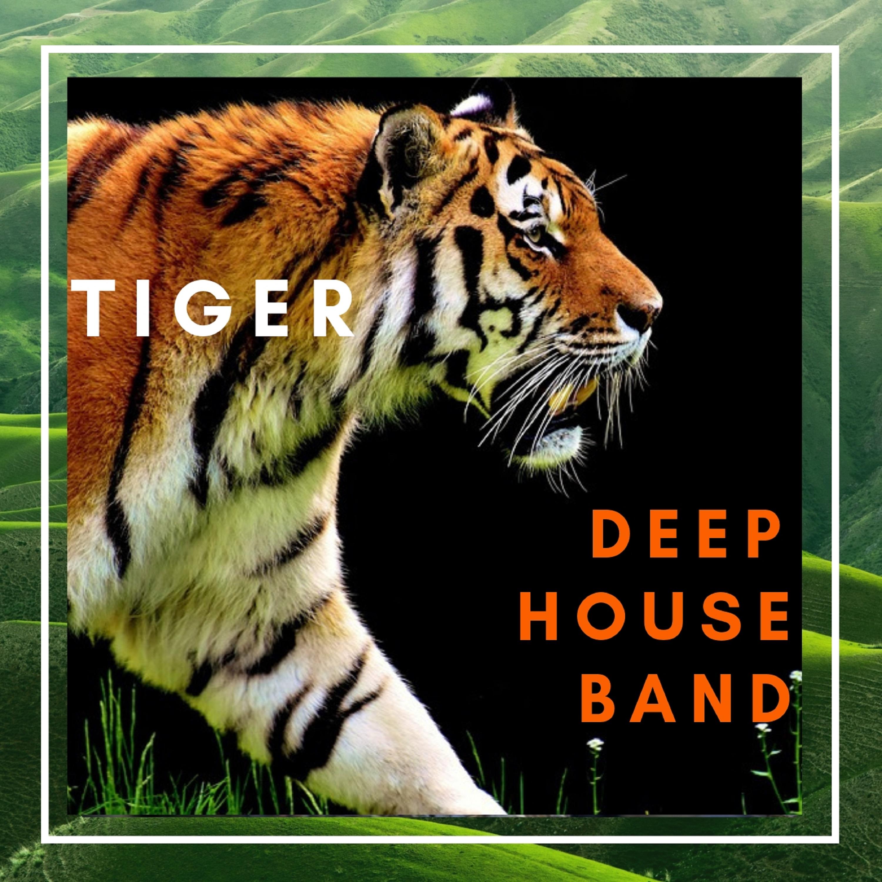 TIGER DEEP HOUSE BAND