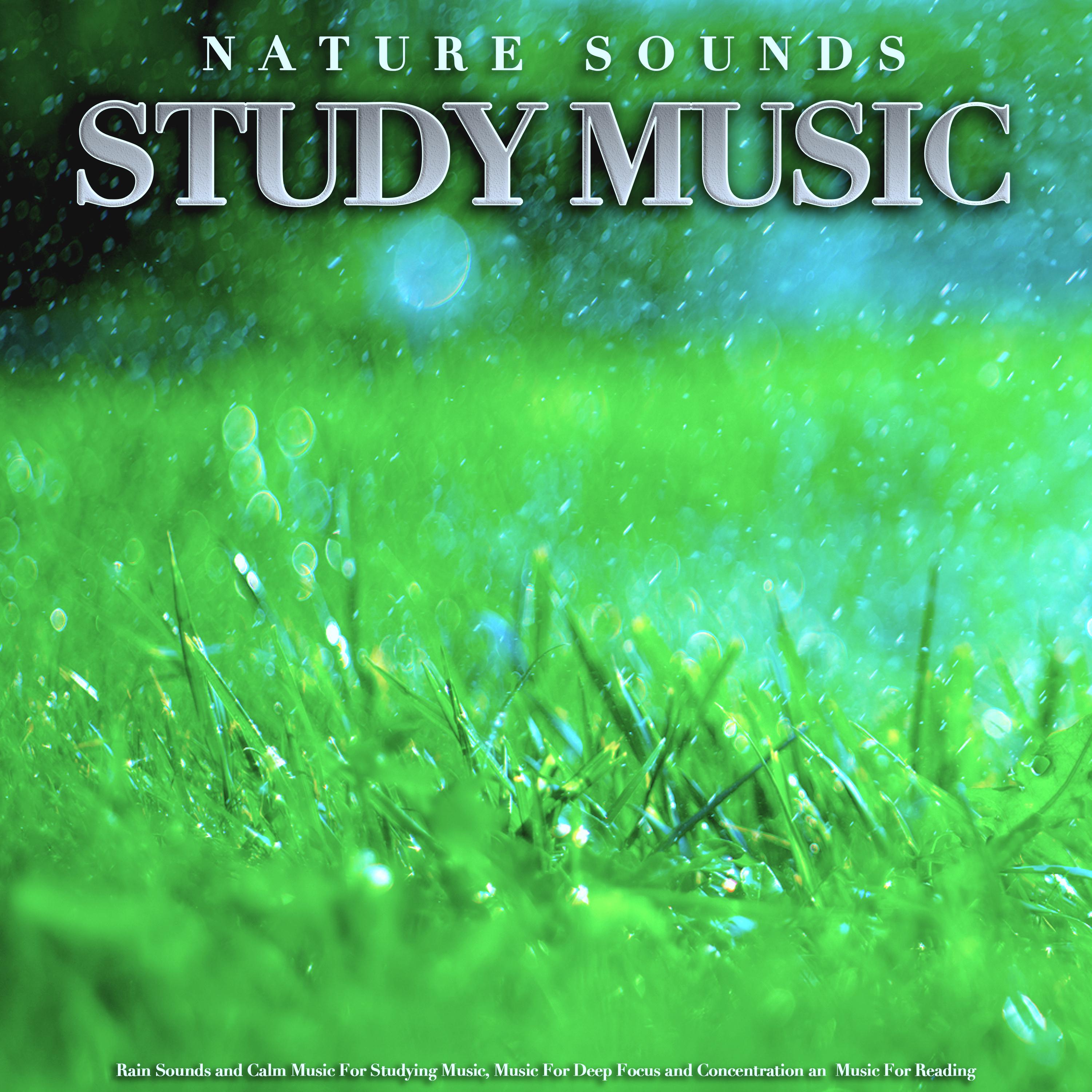 Music For Focus and Concentration With Rain Sounds