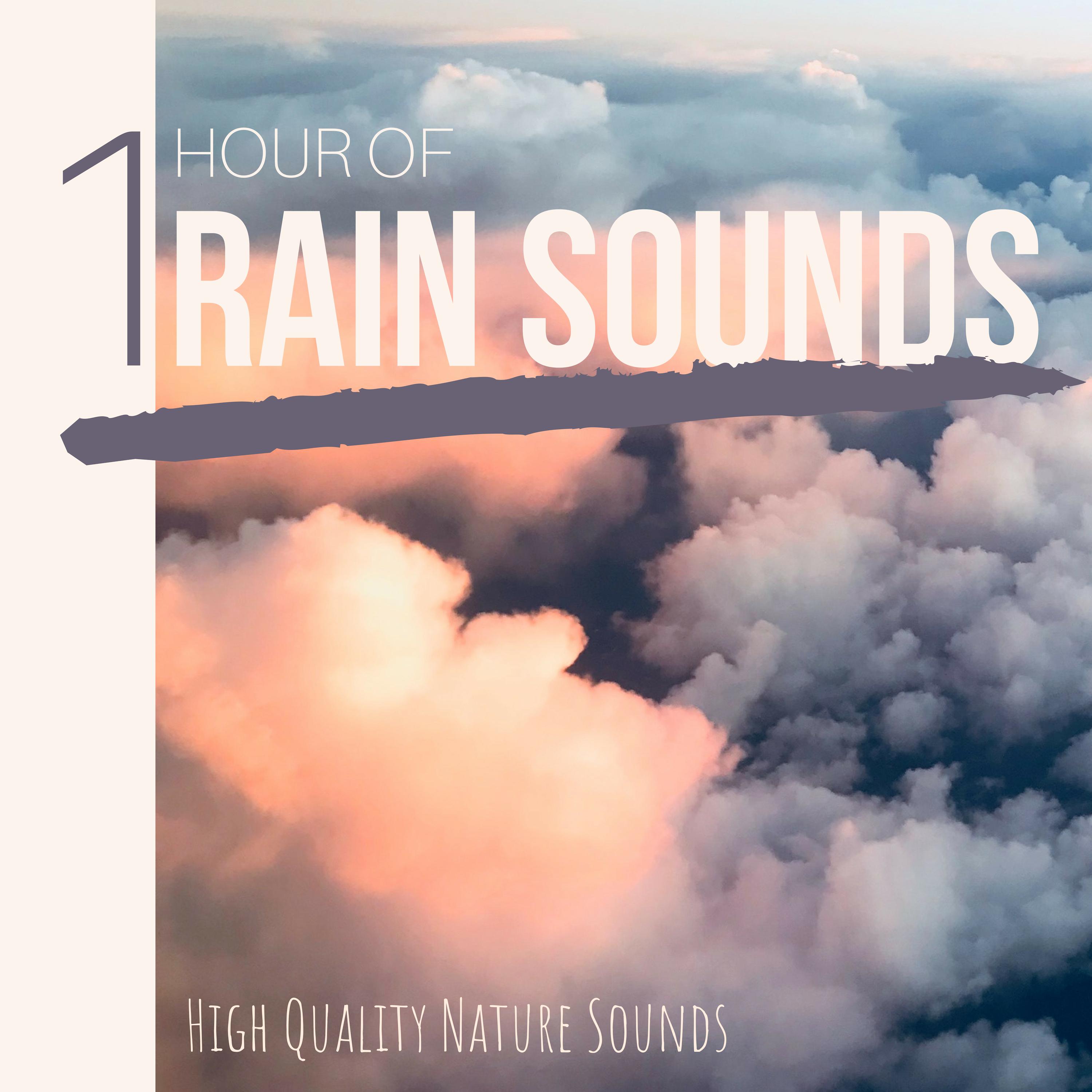 1 Hour of Rain Sounds: High Quality Nature Sounds