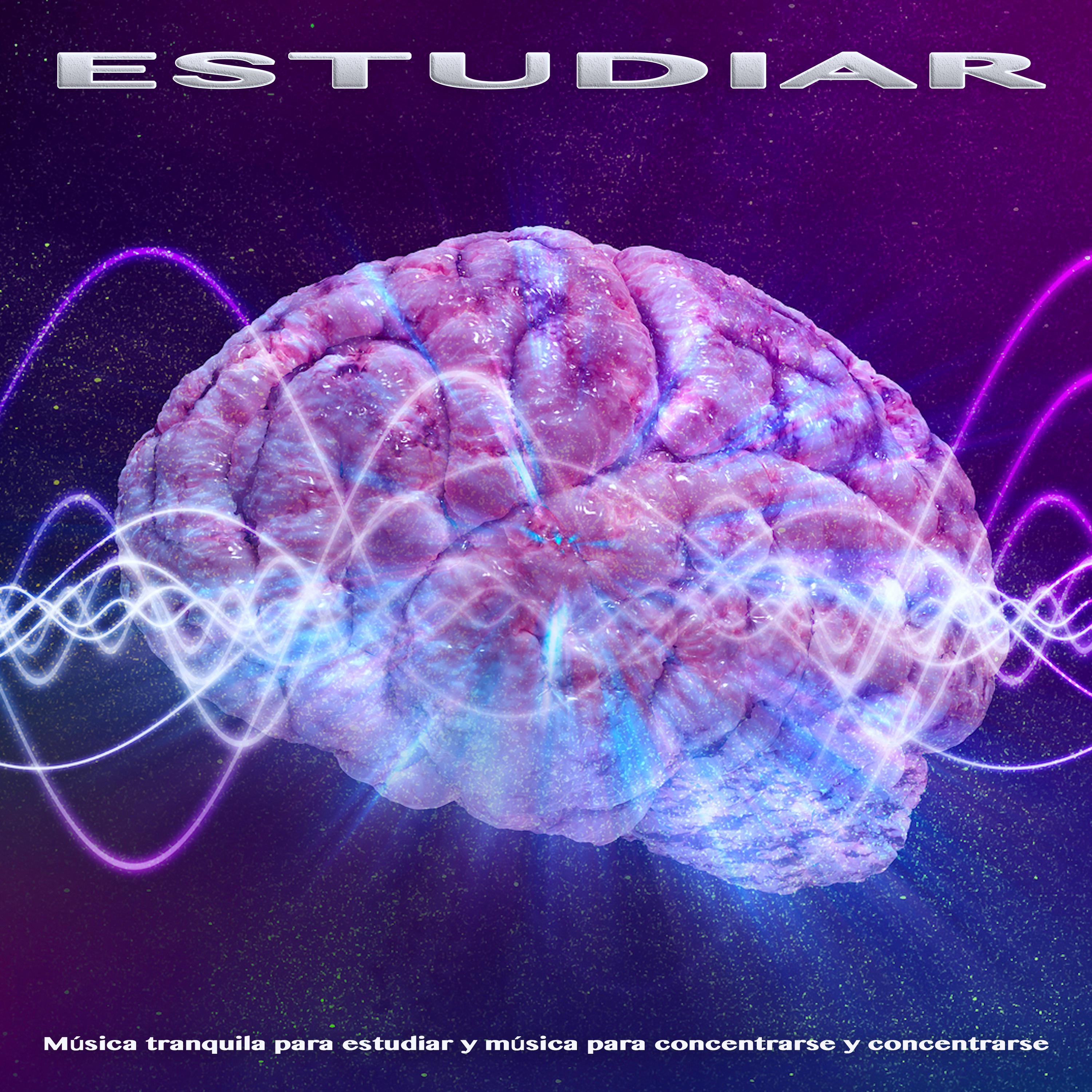 Estudiar: Música tranquila para estudiar y música para concentrarse y concentrarse