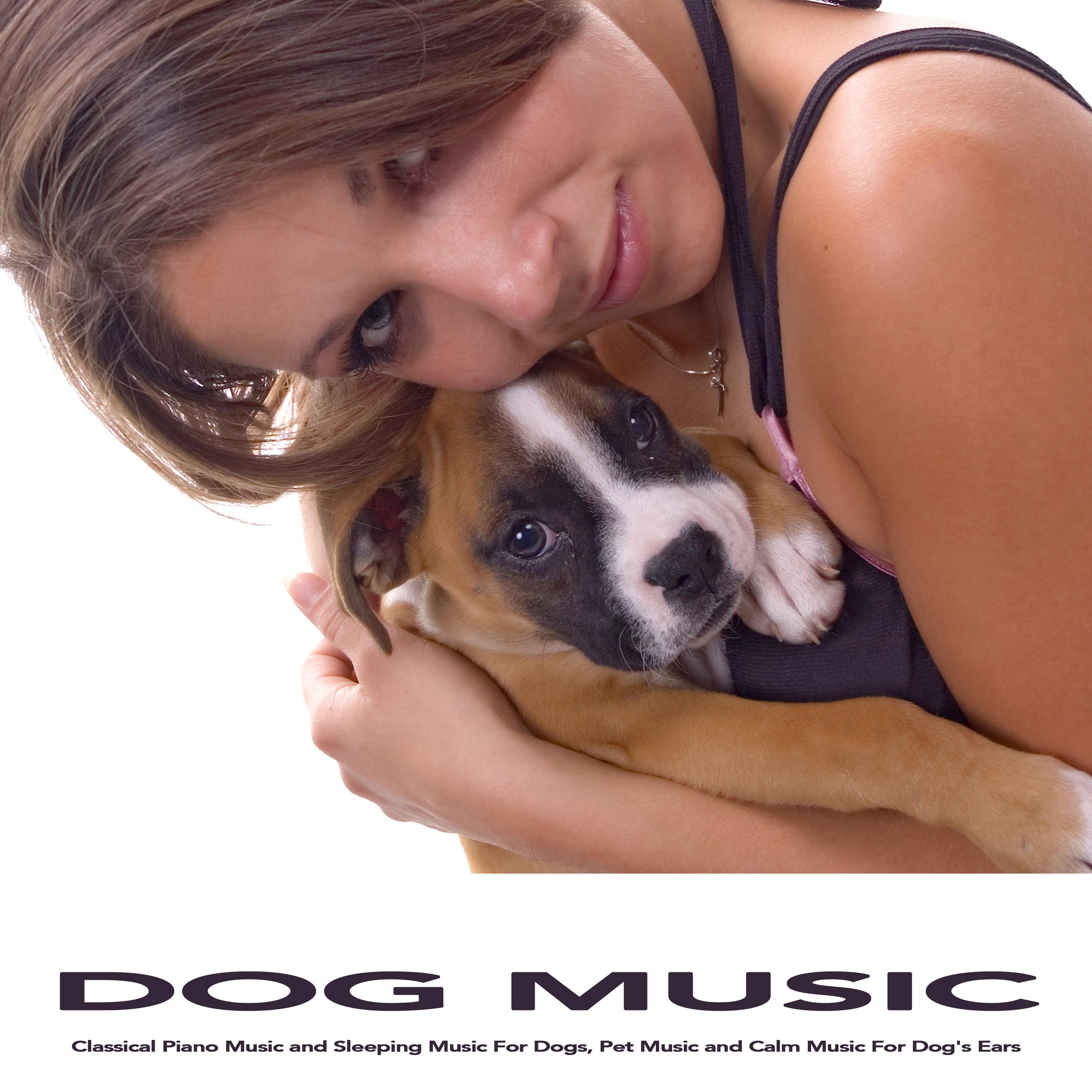 Minuet in Eb - Beethoven - Classical Music - Dog Music For Dogs