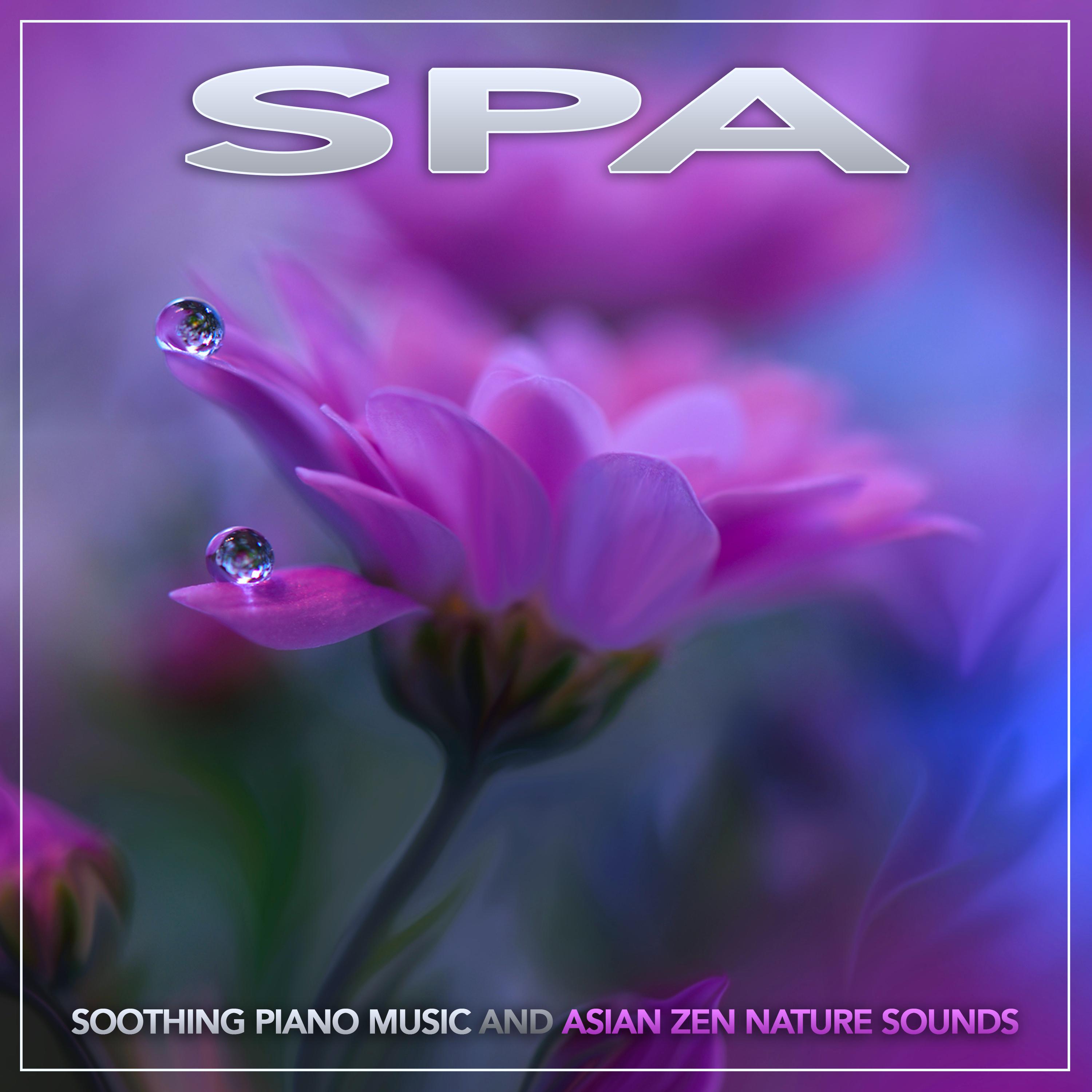Ambient Music With Bird Sounds For Healing