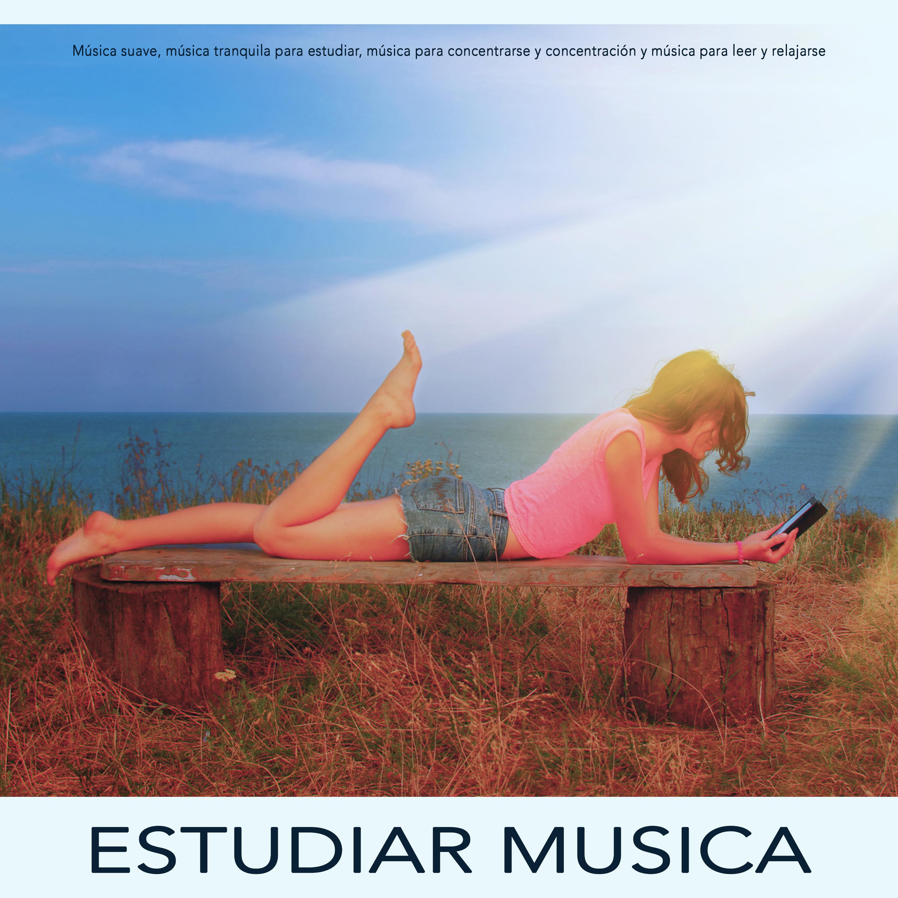 Estudiar musica: Música suave, música tranquila para estudiar, música para concentrarse y concentración y música para leer y relajarse