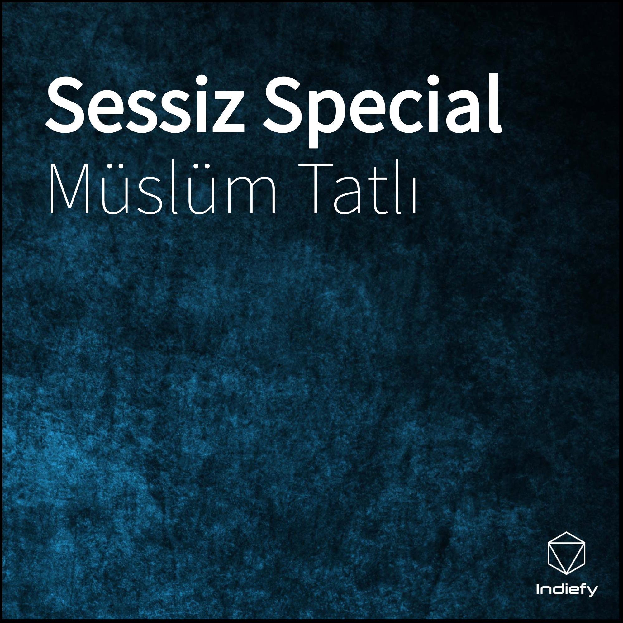 Sessiz Special