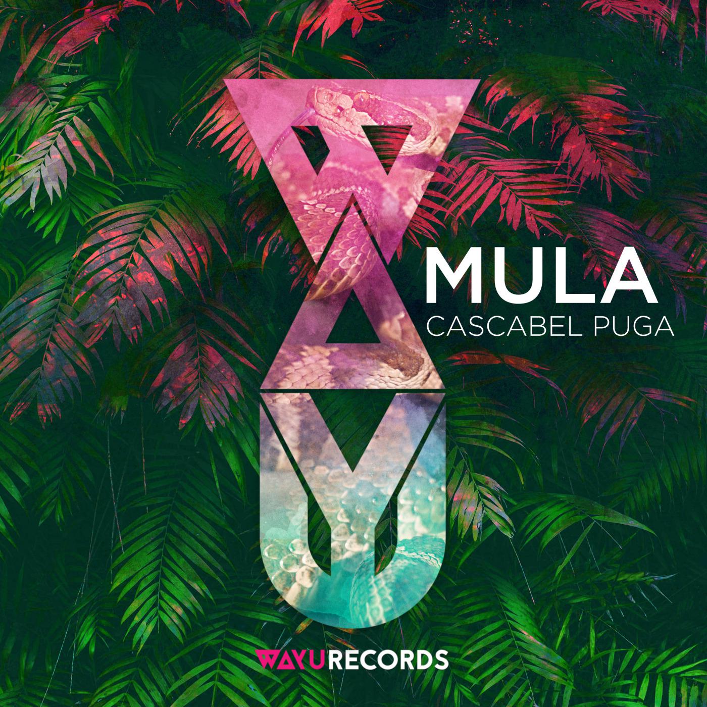 Cascabel Puga