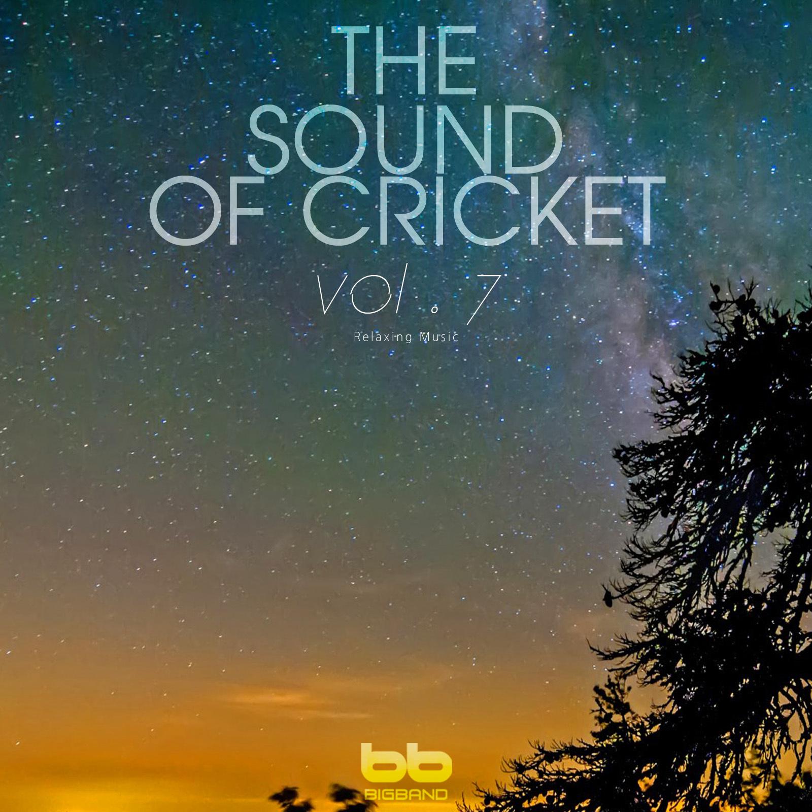 The Sound of Cricket, Vol. 7