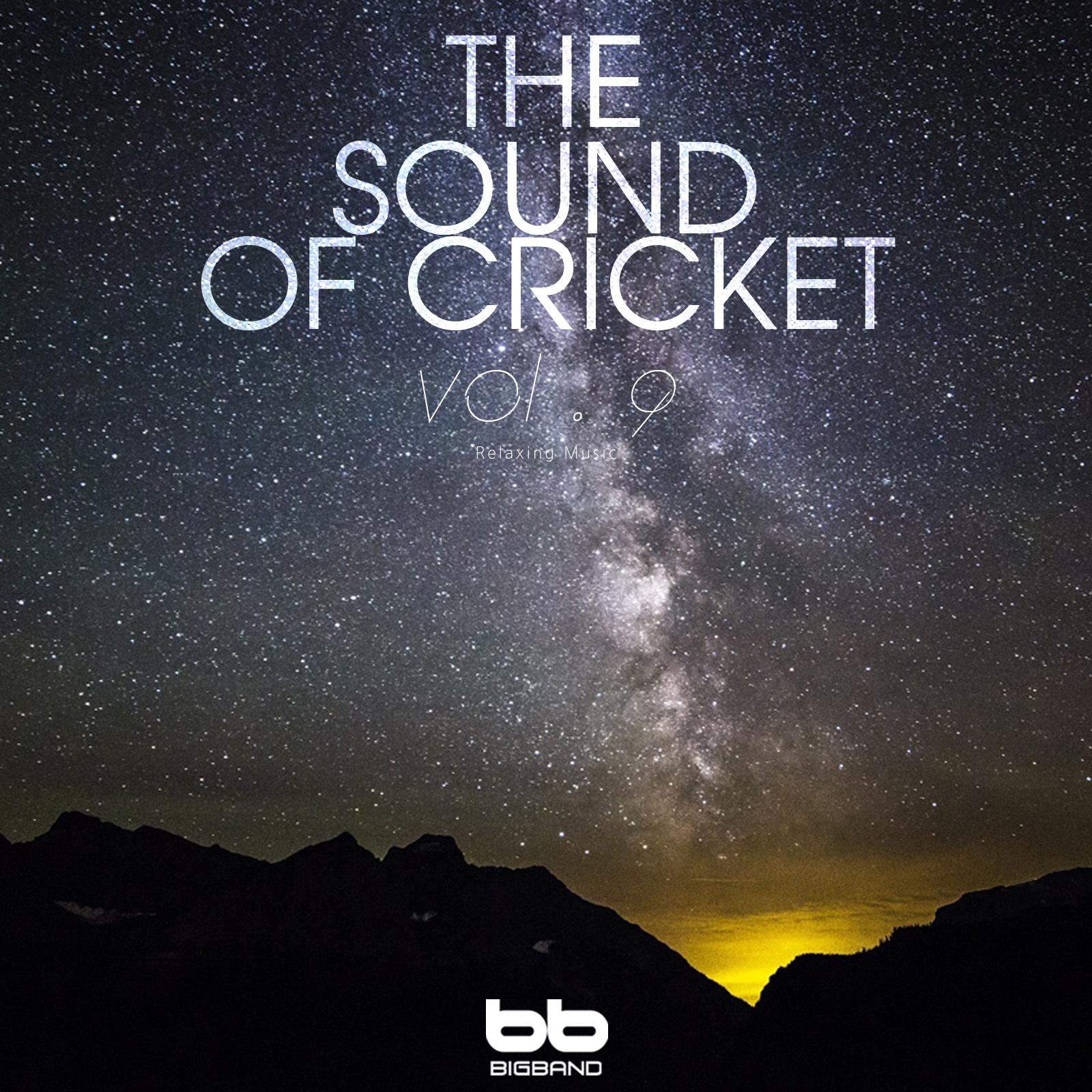 The Sound of Cricket, Vol. 9