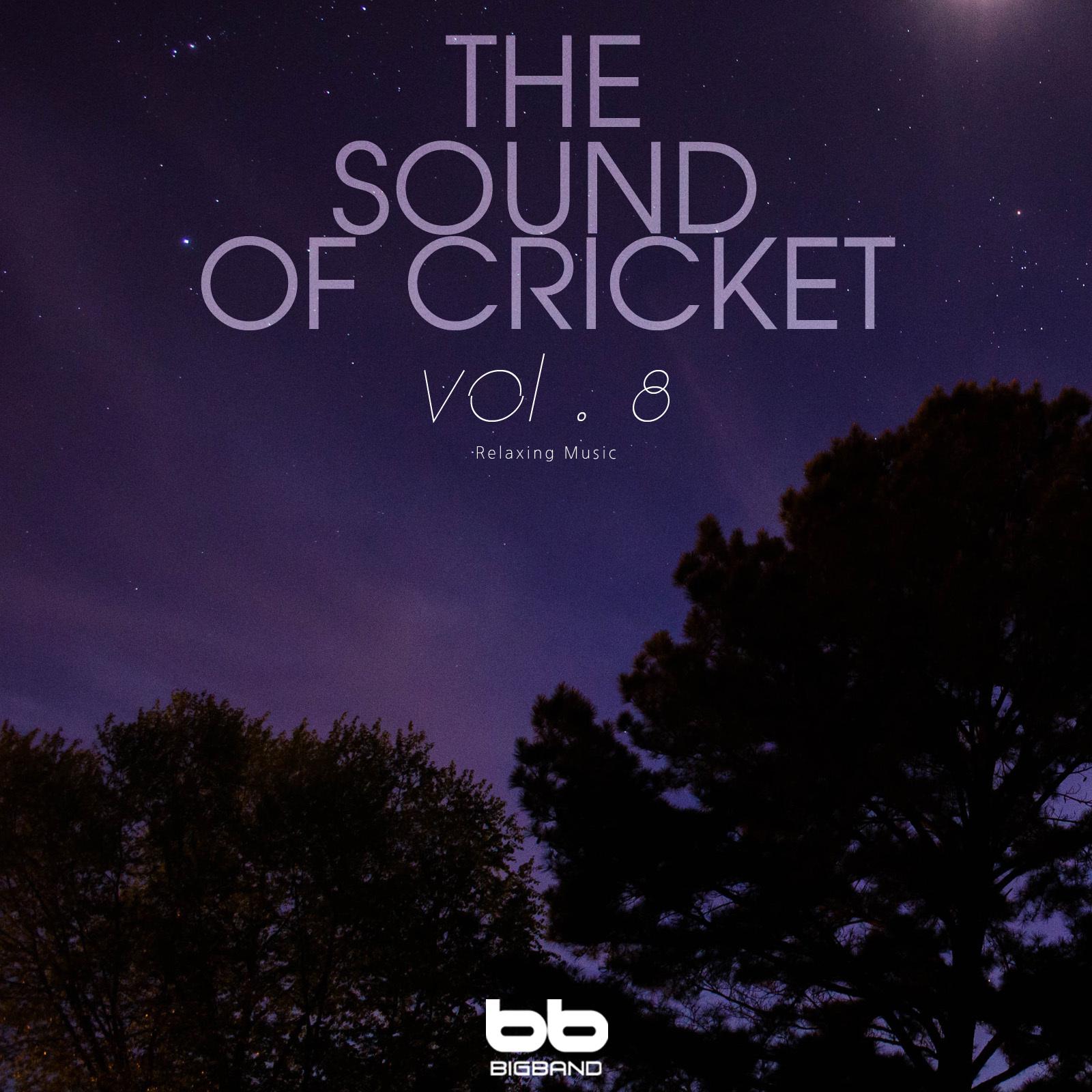 The Sound of Cricket, Vol. 8