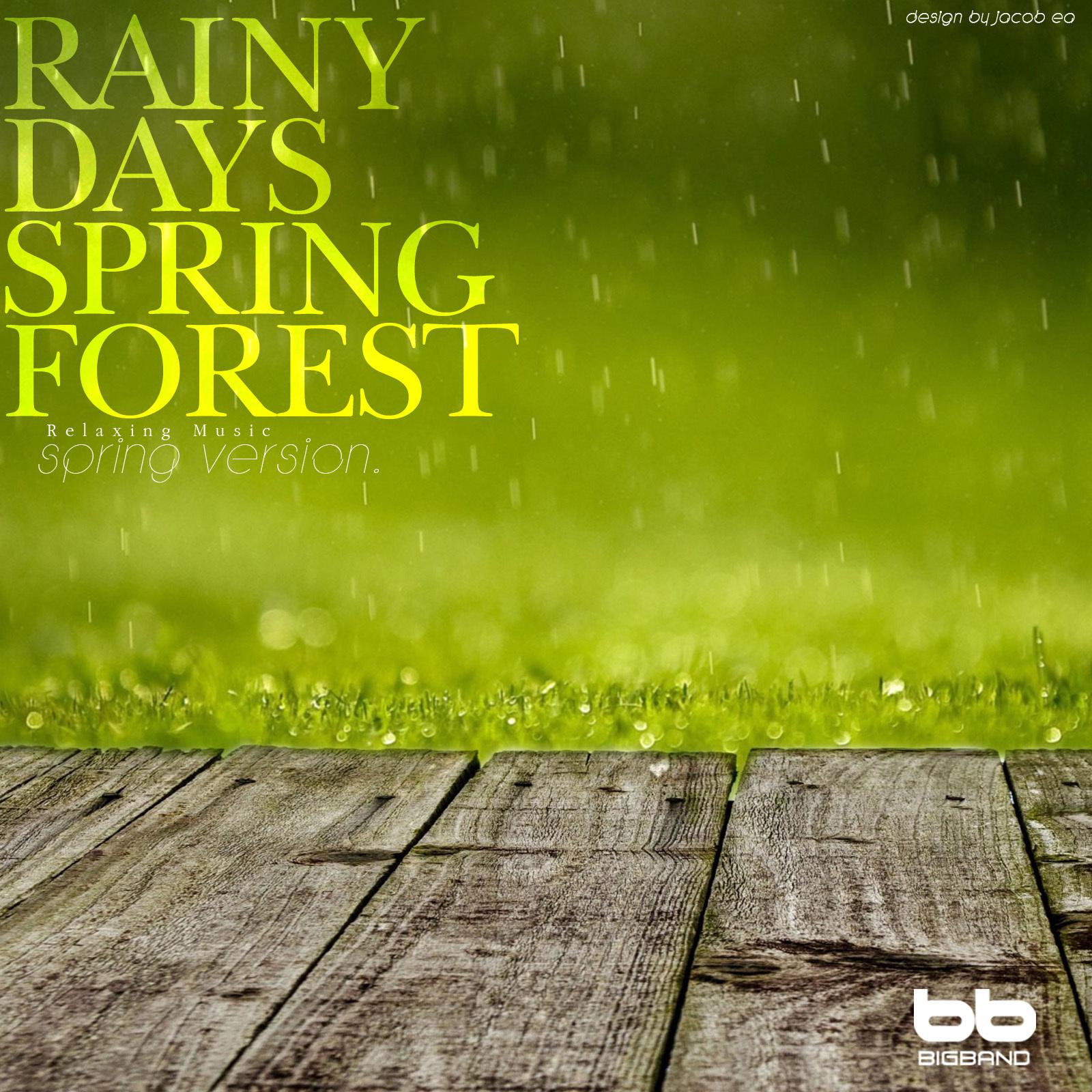 Rainy Days Spring Forest