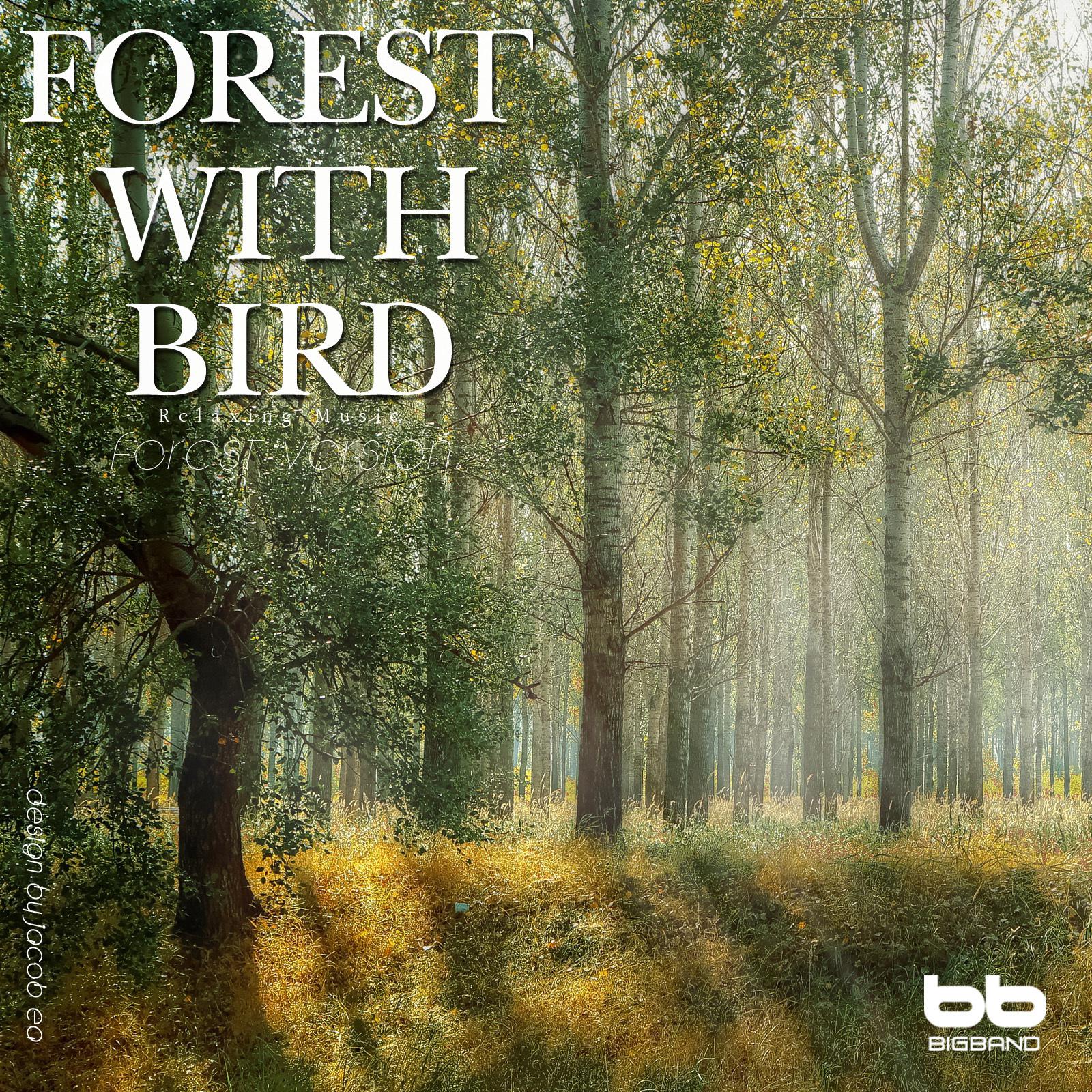 Forest with Bird