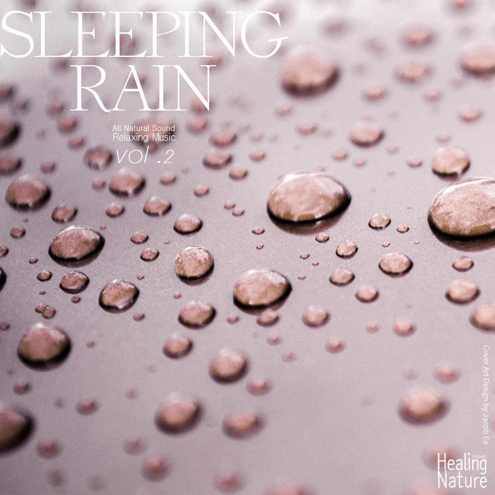 Sleeping Rain, Vol. 2