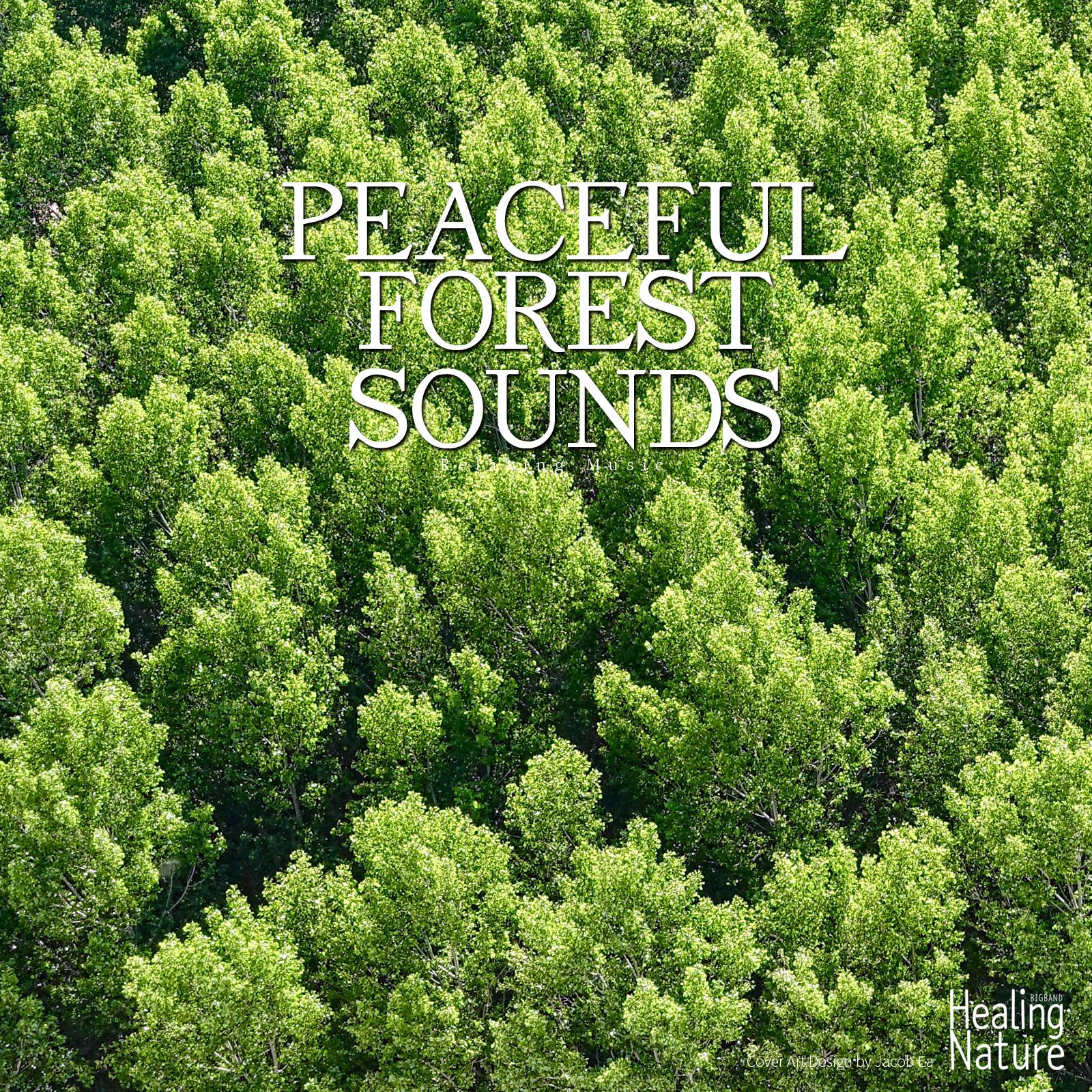 Peaceful Wind Sound 2