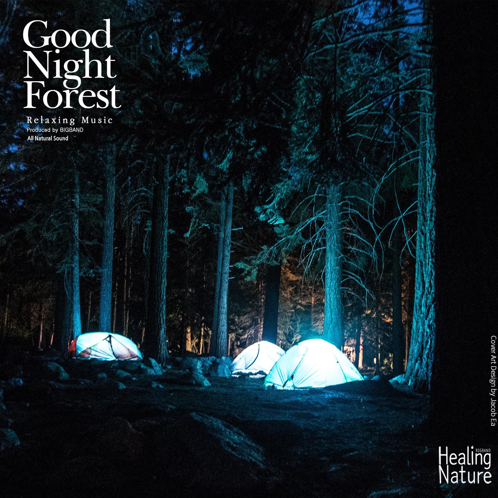 Night Forest for Healing 5