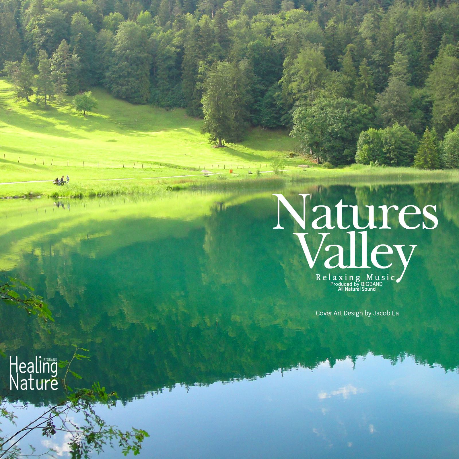 Nature Sounds from Pure Valley 2