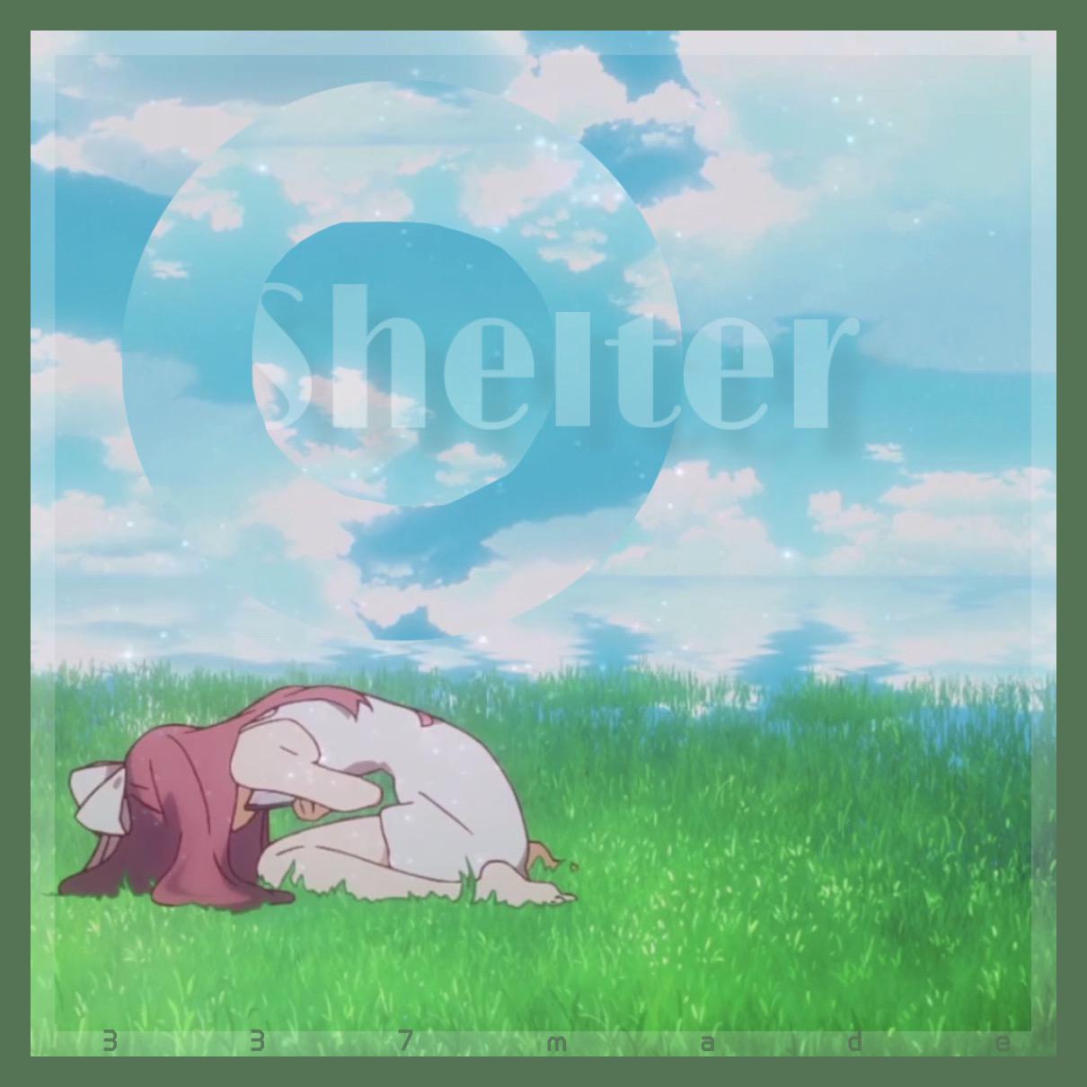 Shelter