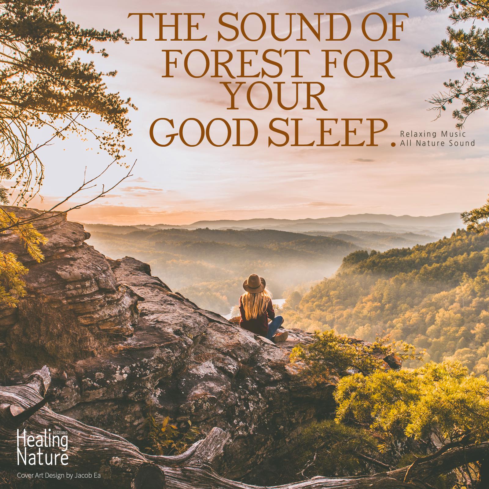 The Sound of Forest for Your Good Sleep