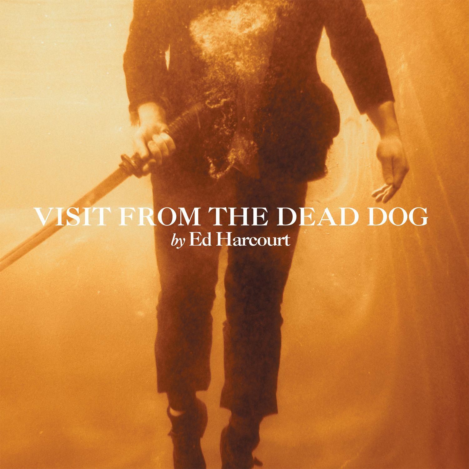 Visit From The Dead Dog