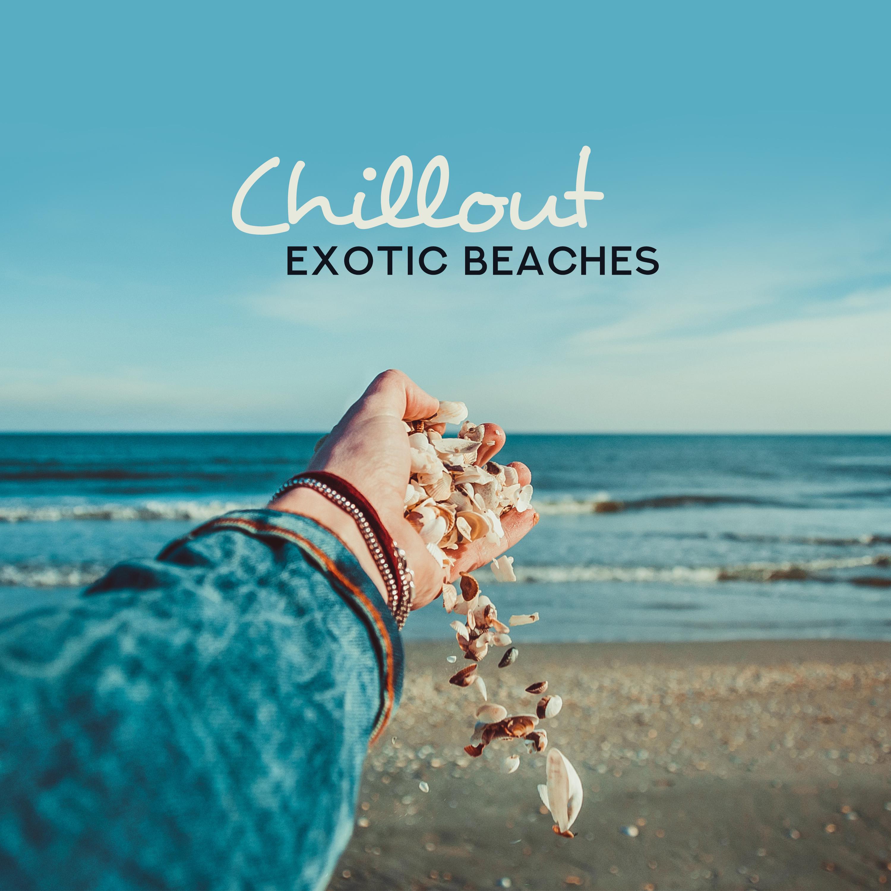 Chillout Exotic Beaches - Slow Melodies That'll Help You Relax and Unwind