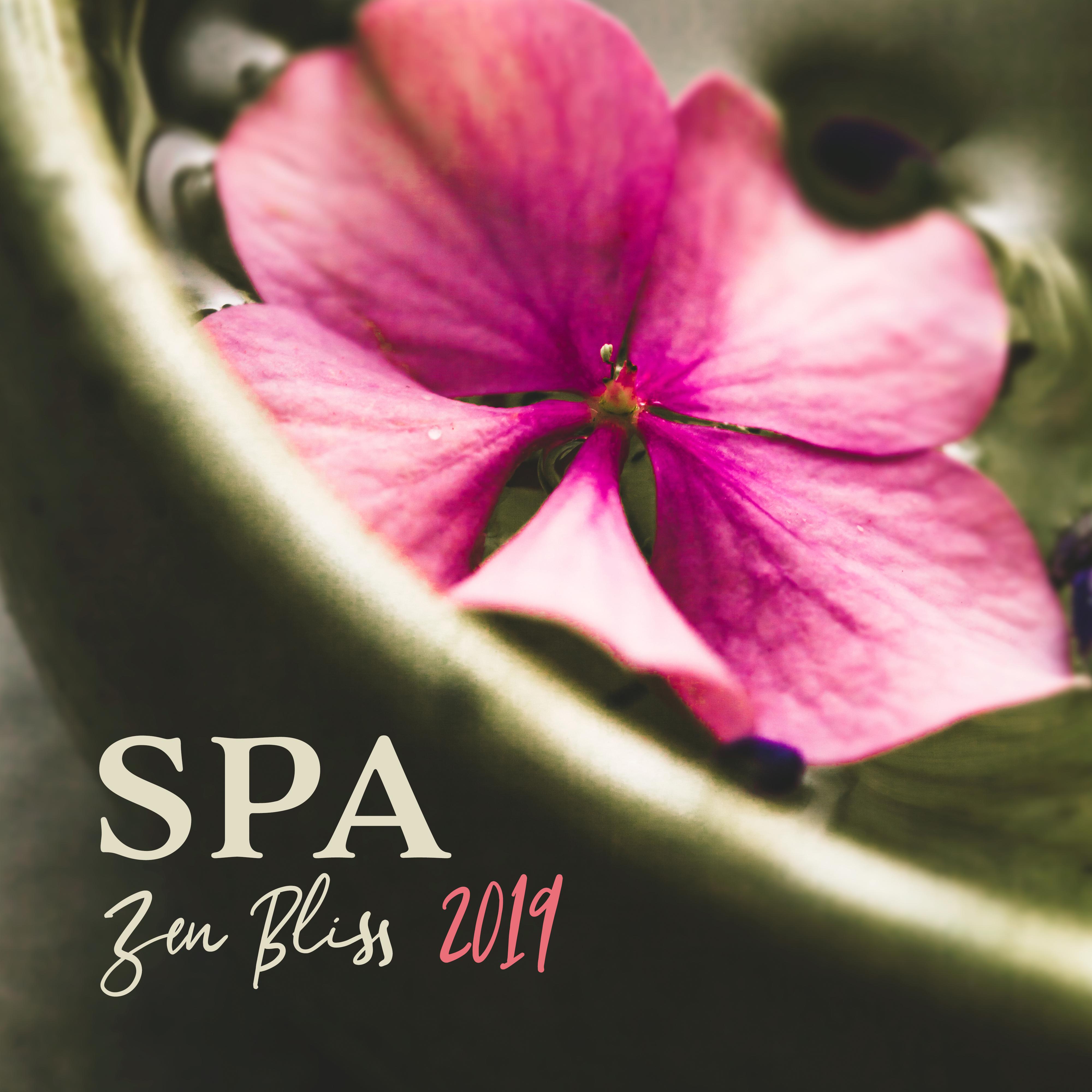 Spa Zen Bliss 2019: 15 New Age Smooth Songs for Perfect Spa Experience, Wellness, Sauna & Massage Background