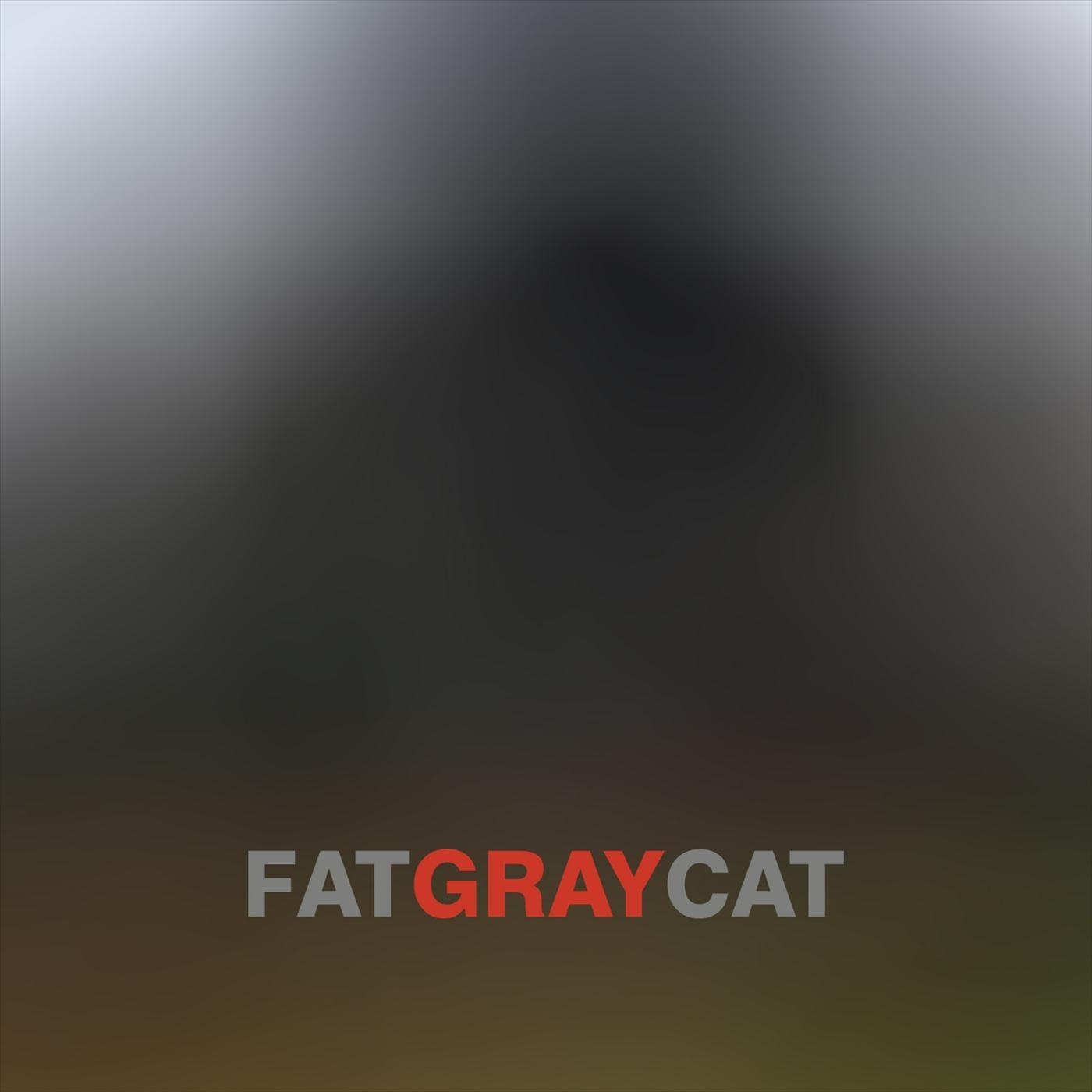 Fat Gray Cat