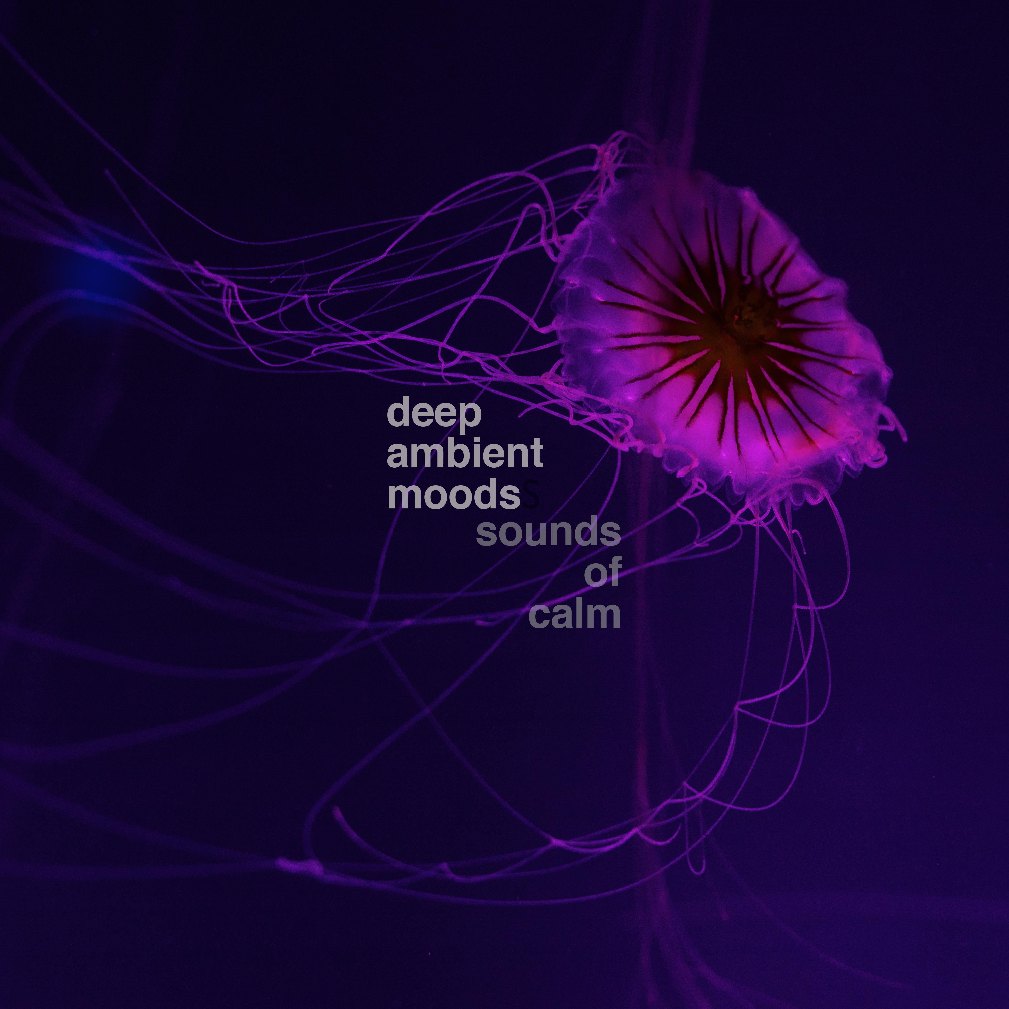 Deep Ambient Moods, Vol. 1: Sounds of Calm
