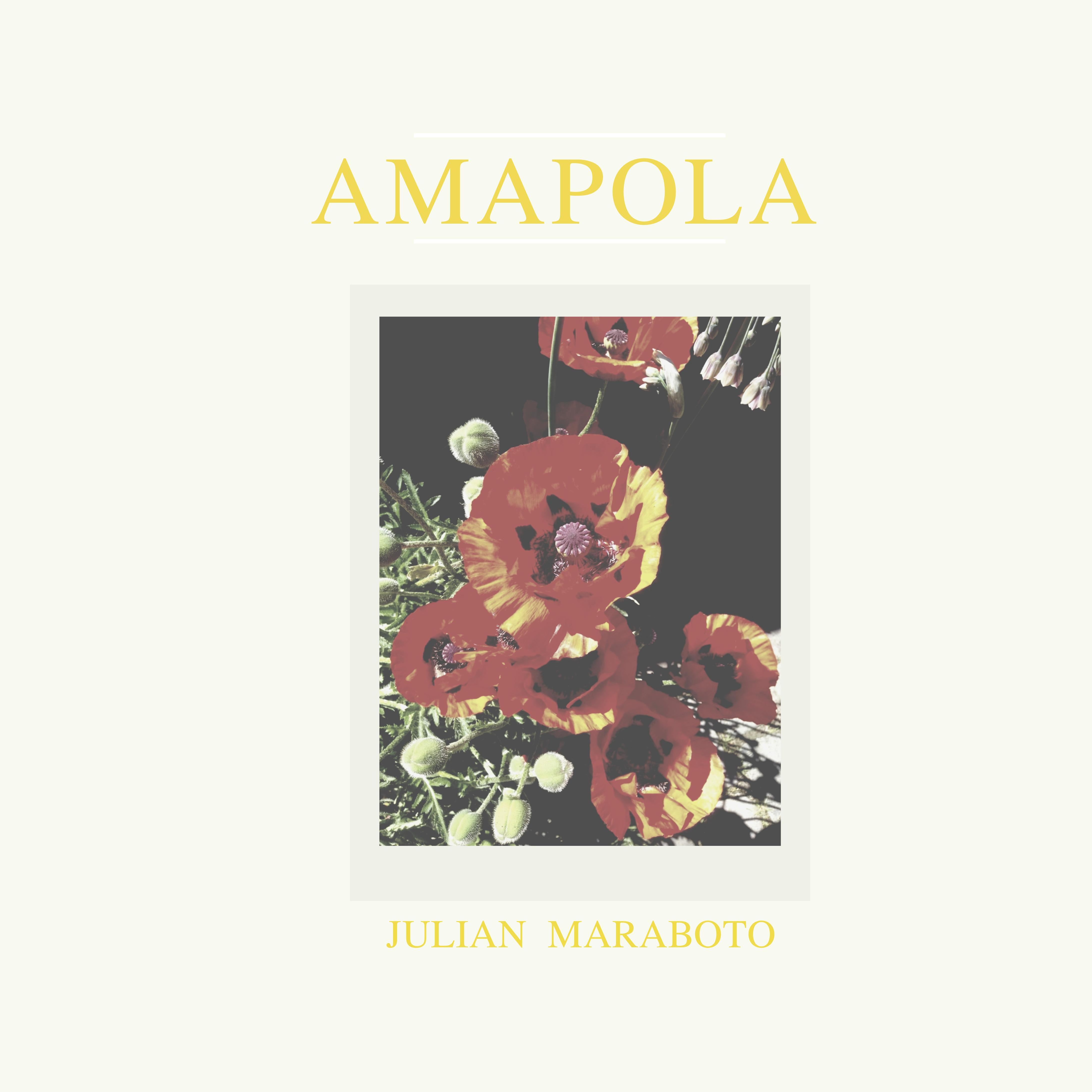 Amapola