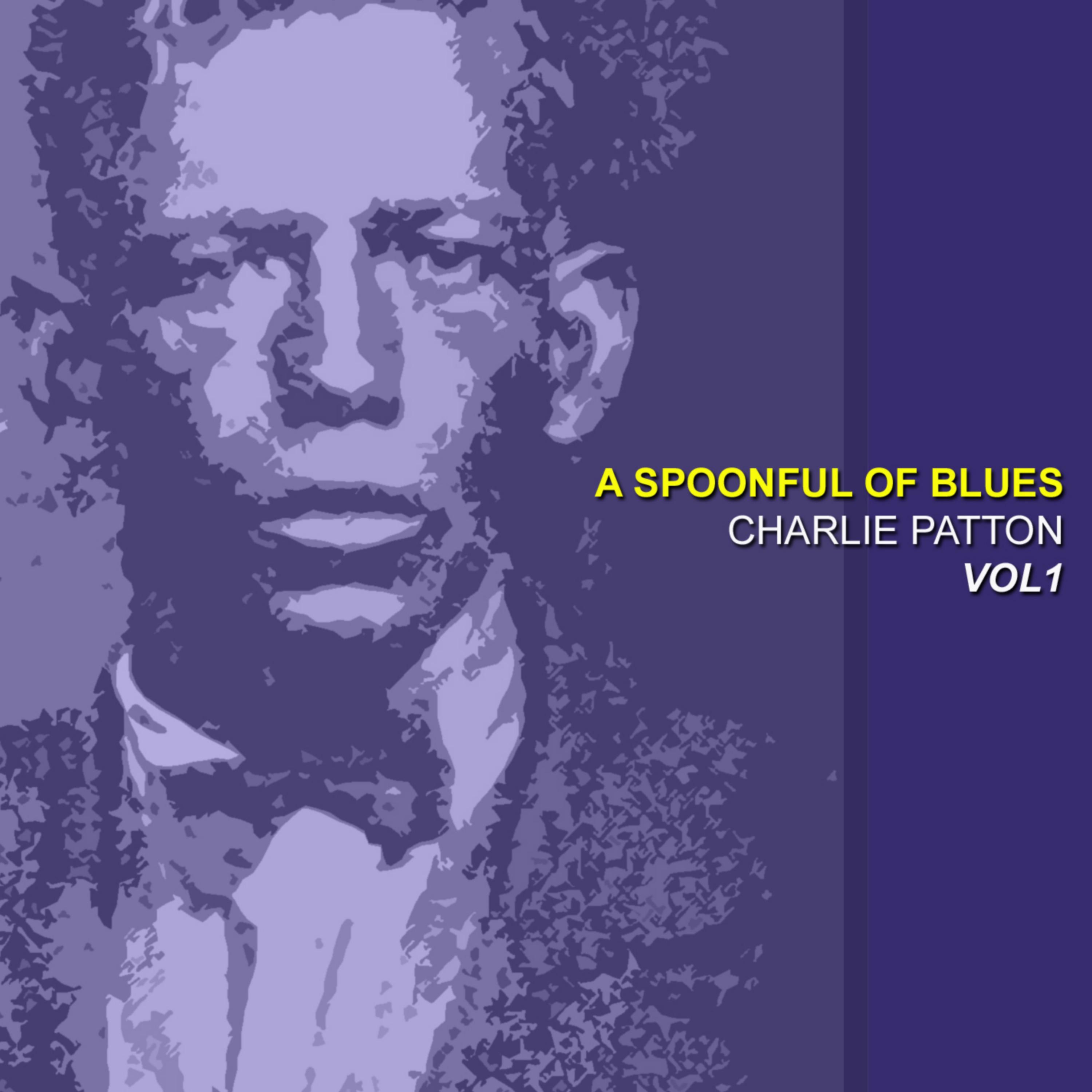 A Spoonful of Blues, Vol. 1