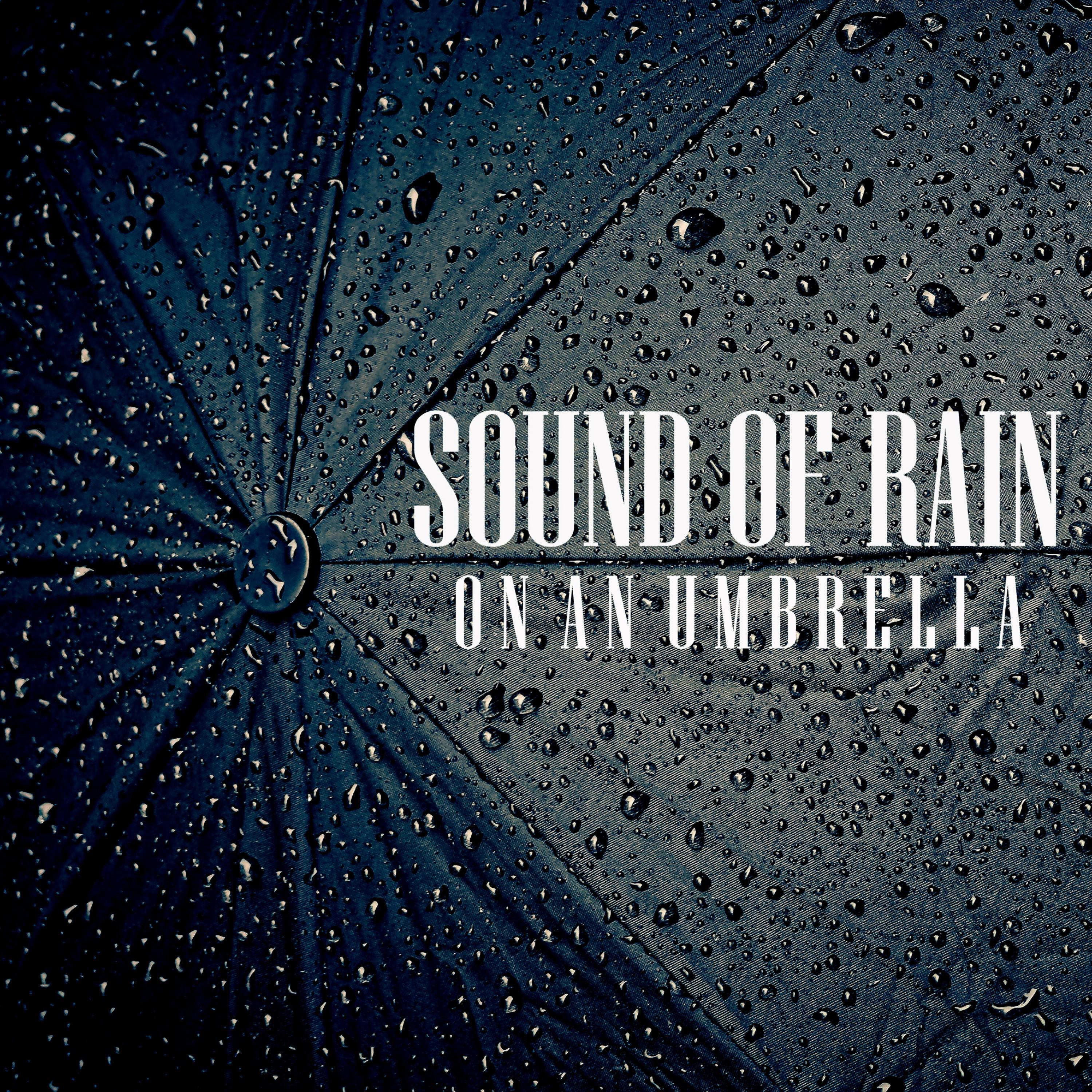 Sound of Rain on an Umbrella, Pt. 32