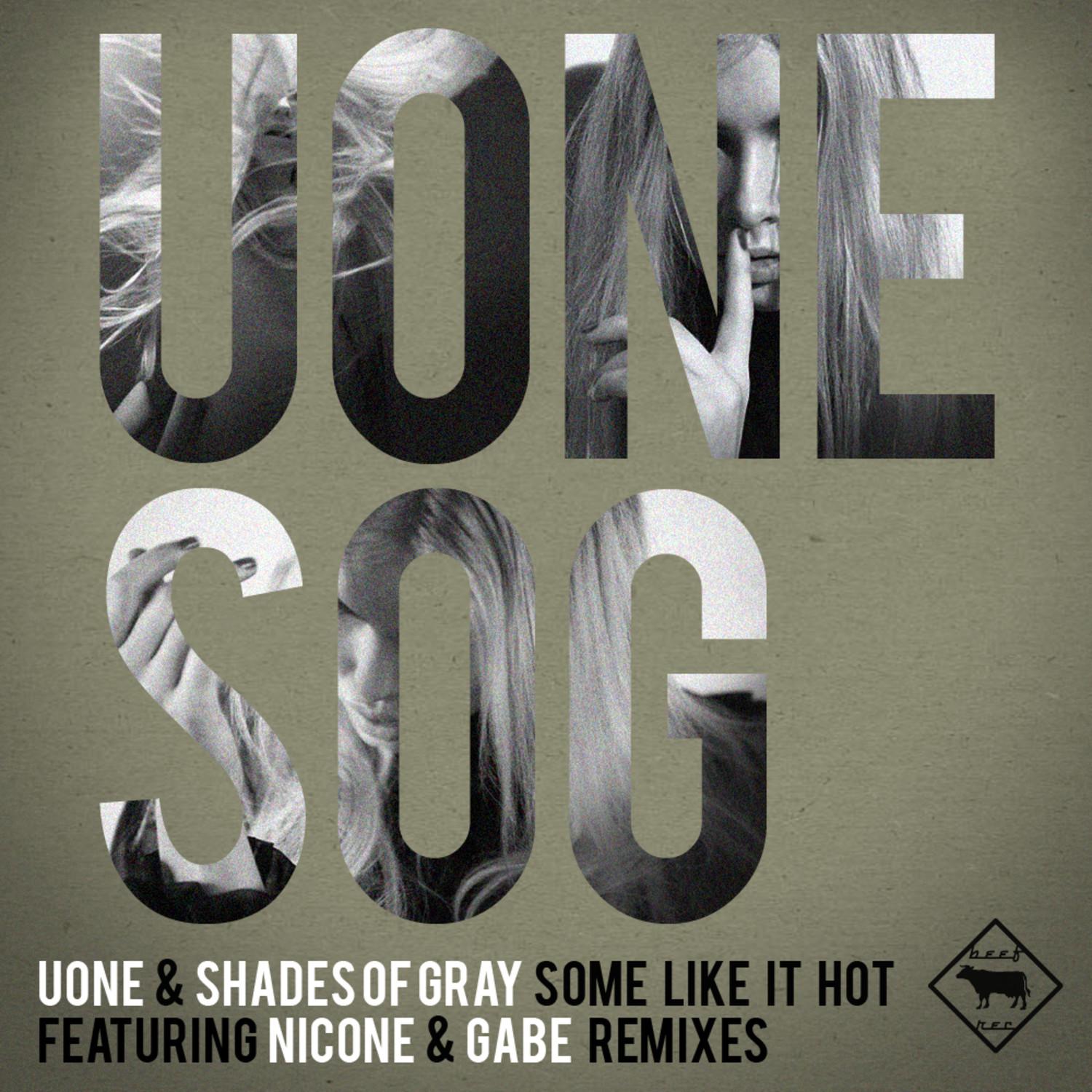 Some like it Hot (feat. Nicone remix)