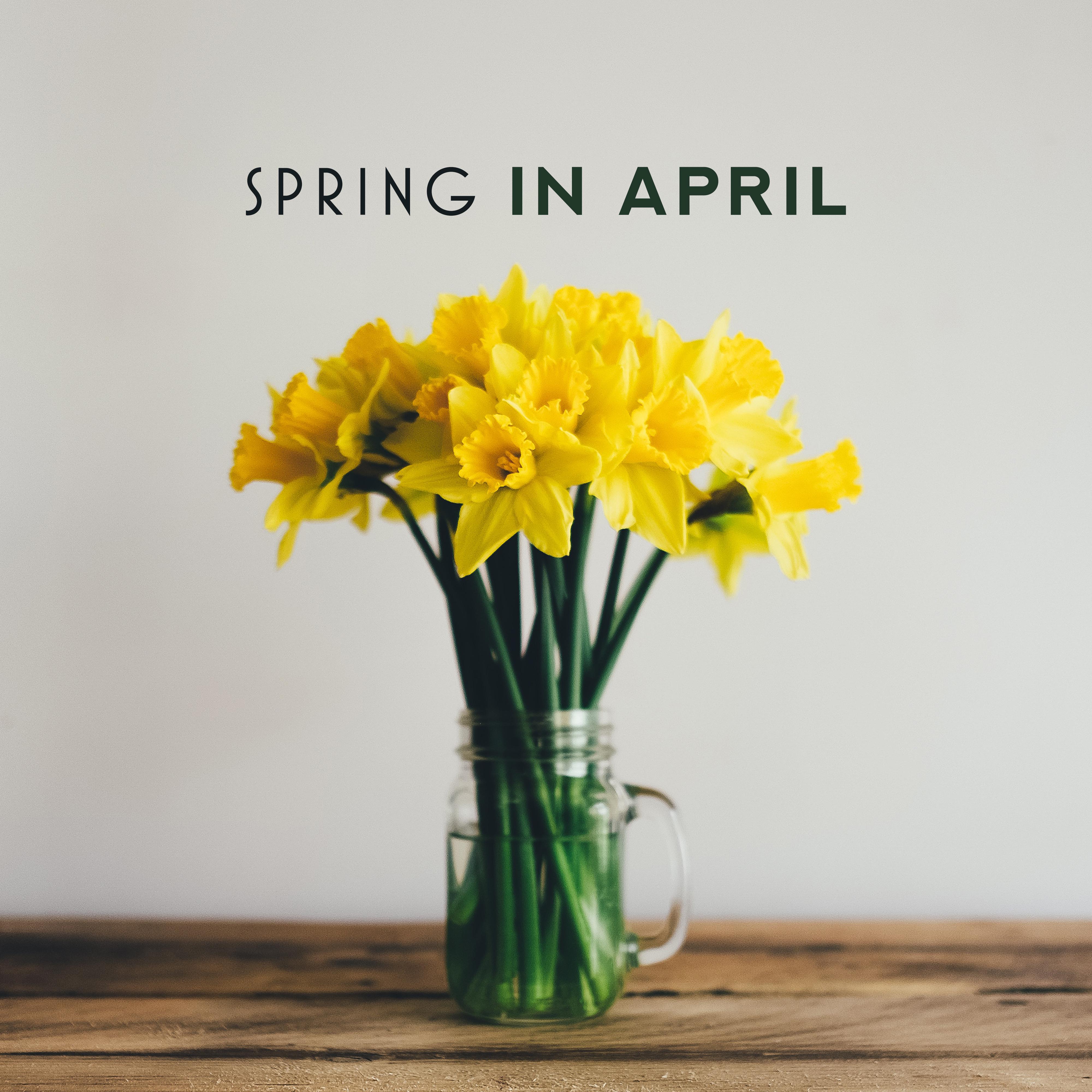 Spring in April – Jazz Relaxation 2019, Deep Relax, Smooth Jazz to Rest, Sleep, Meditation
