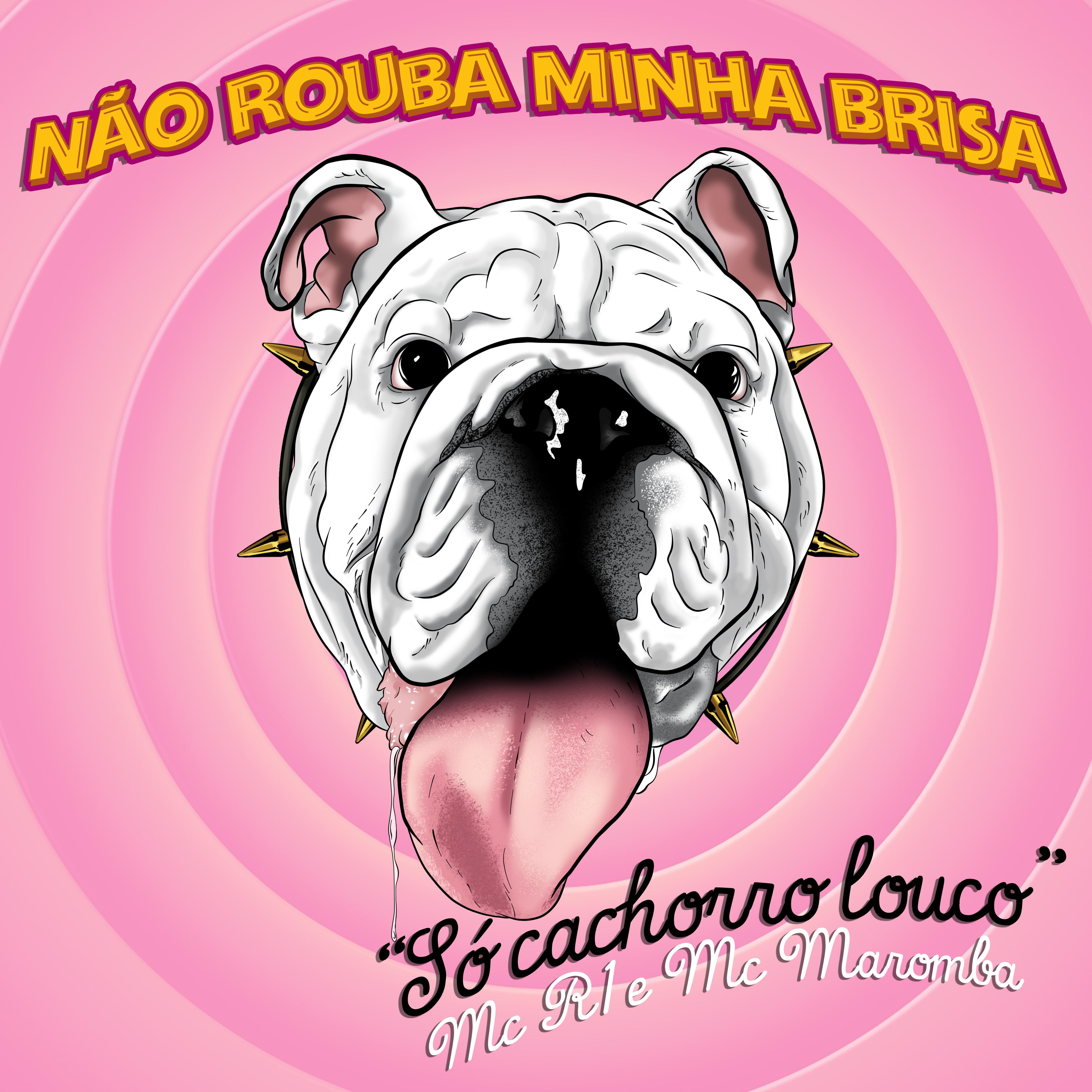 Não Rouba Minha Brisa: Só Cachorro Louco