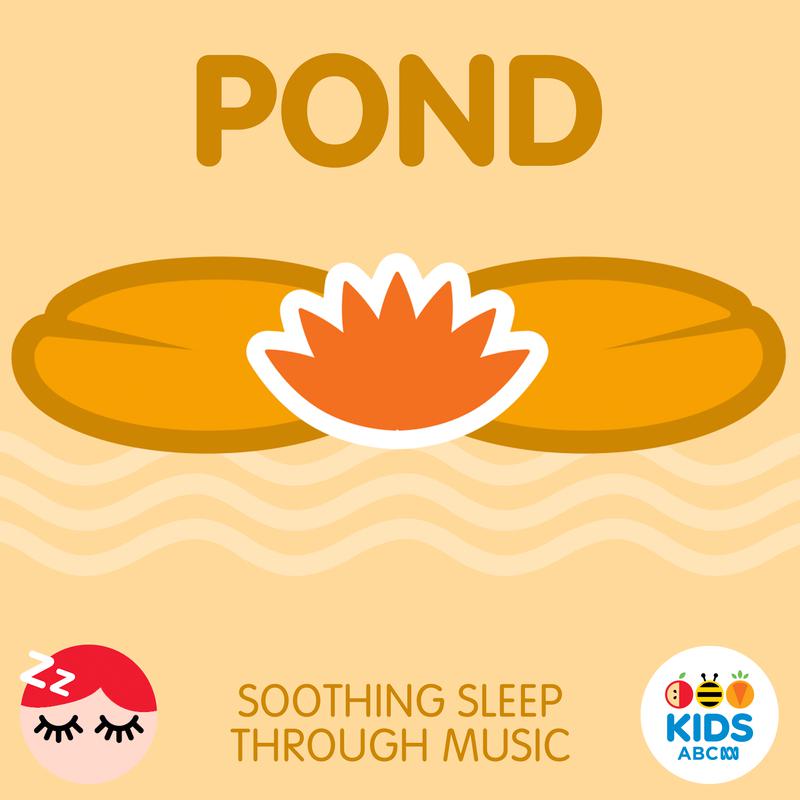 Pond 5