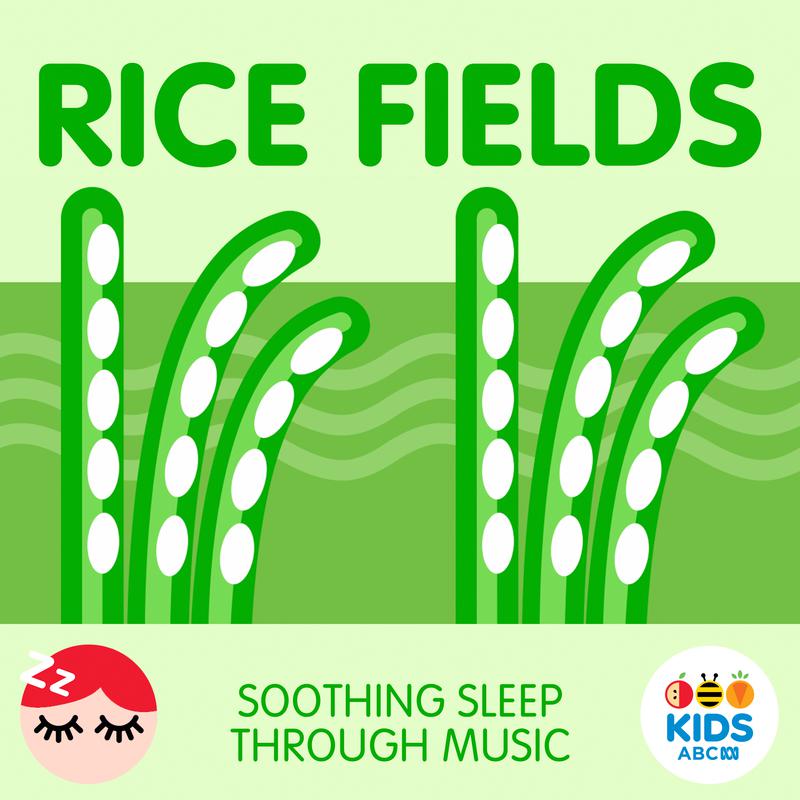 Rice Fields 10