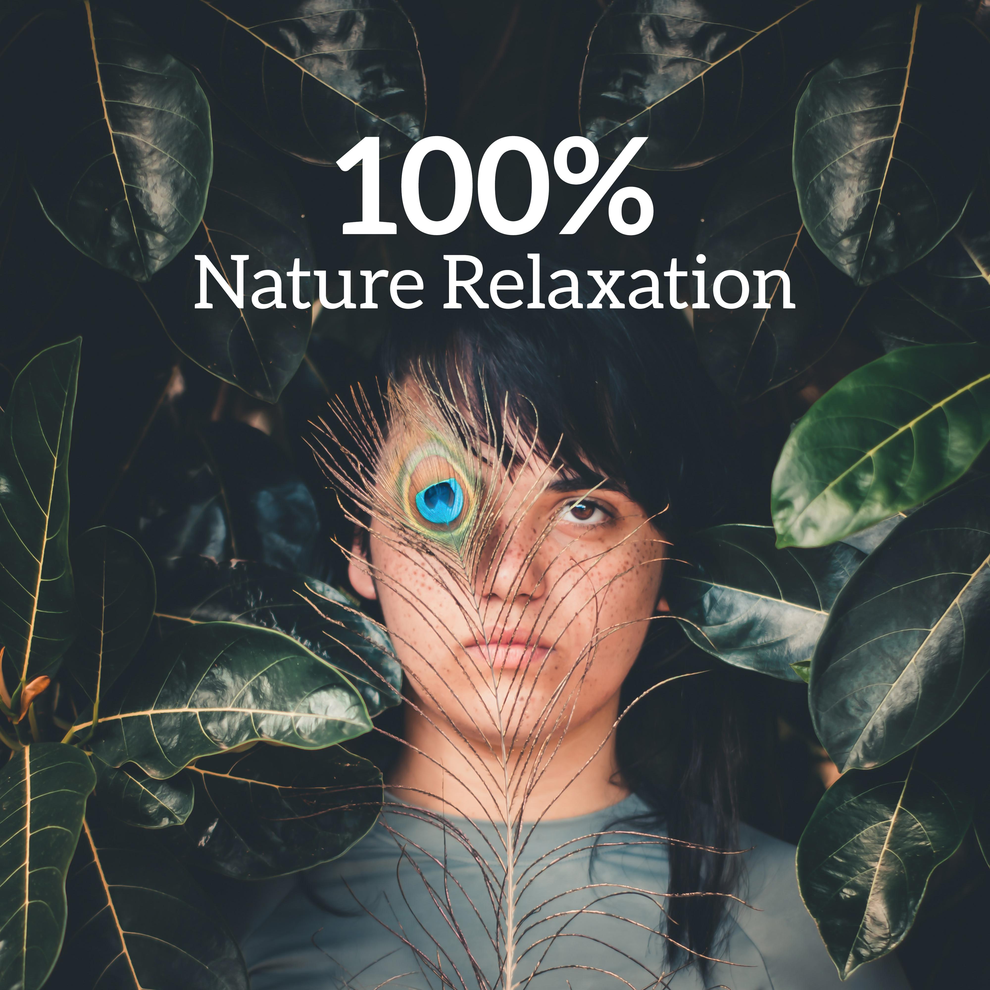 100% Nature Relaxation: 15 New Age Soft Tracks for Absolute Relax, Deep Meditation, Calming Down, Increase Inner Energy