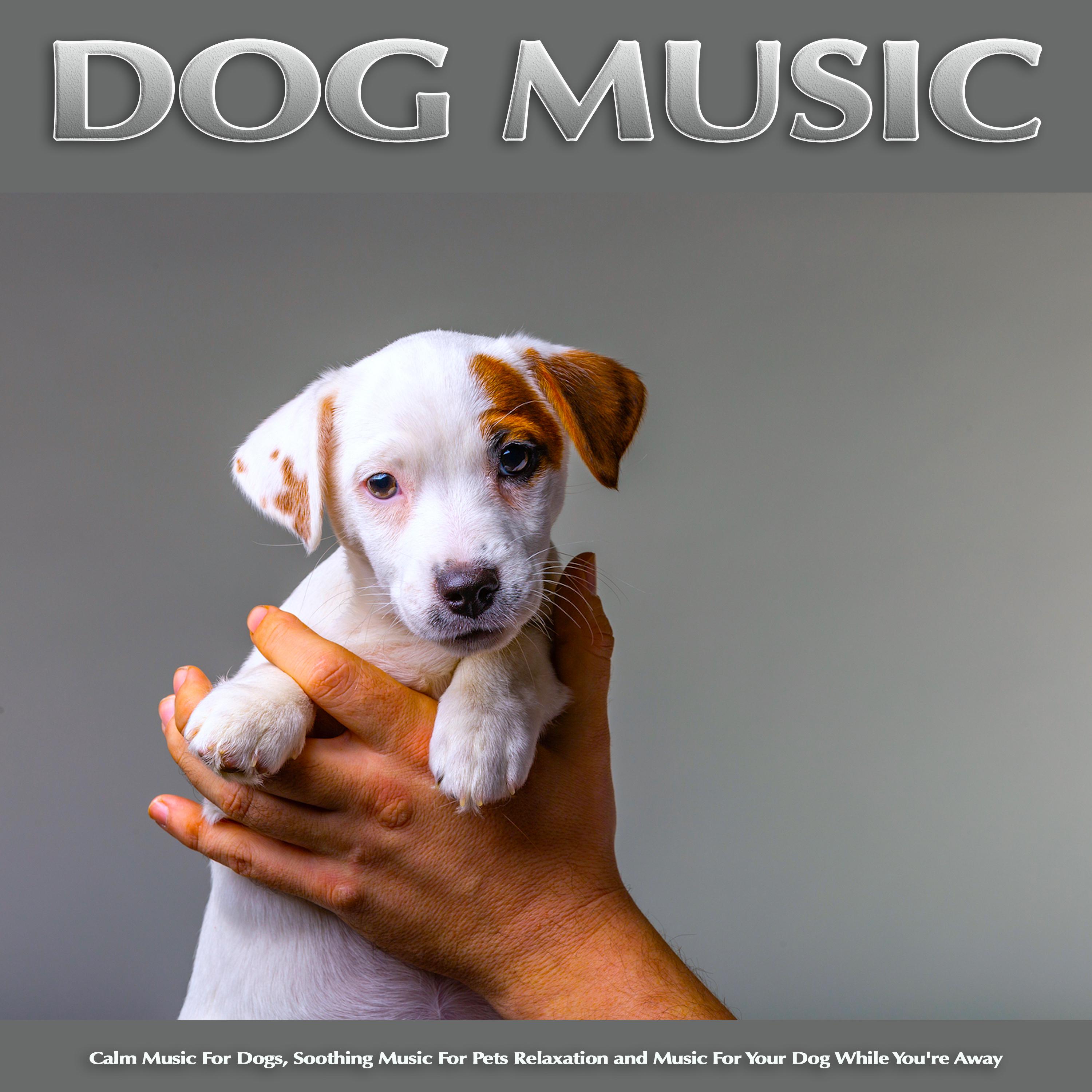 Soothing Music For Dogs Ears