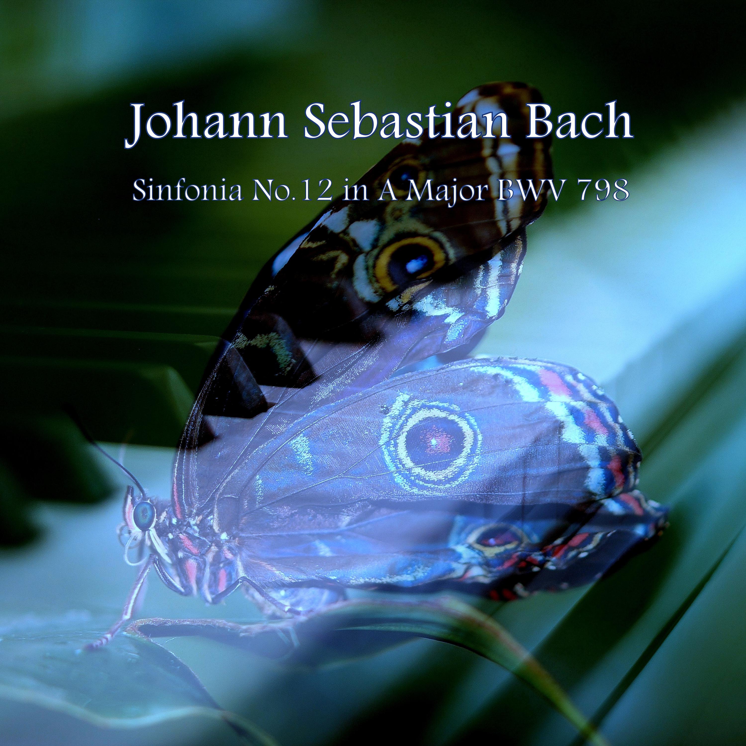 Bach Sinfonia No.12 in A Major BWV 798