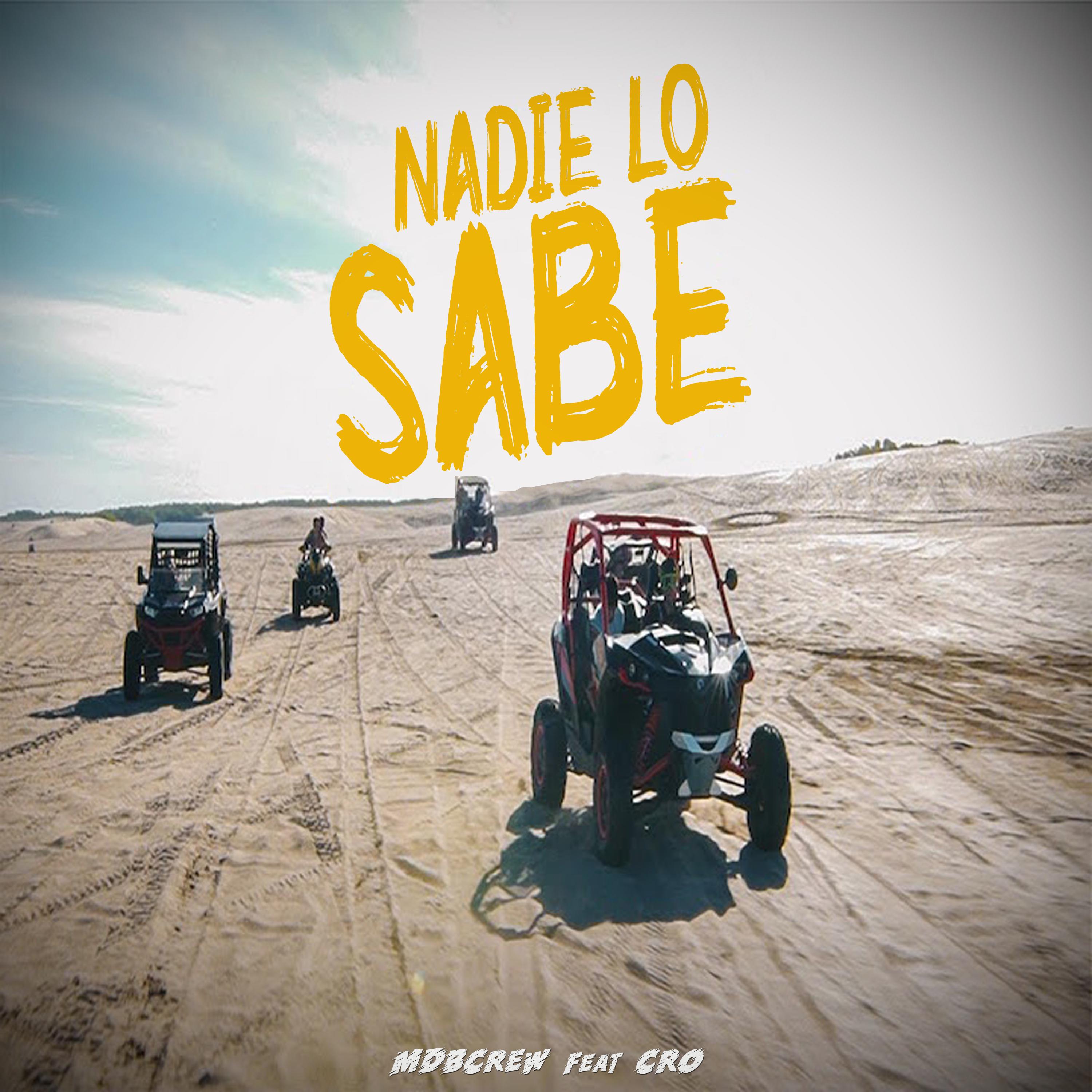 Nadie Lo Sabe