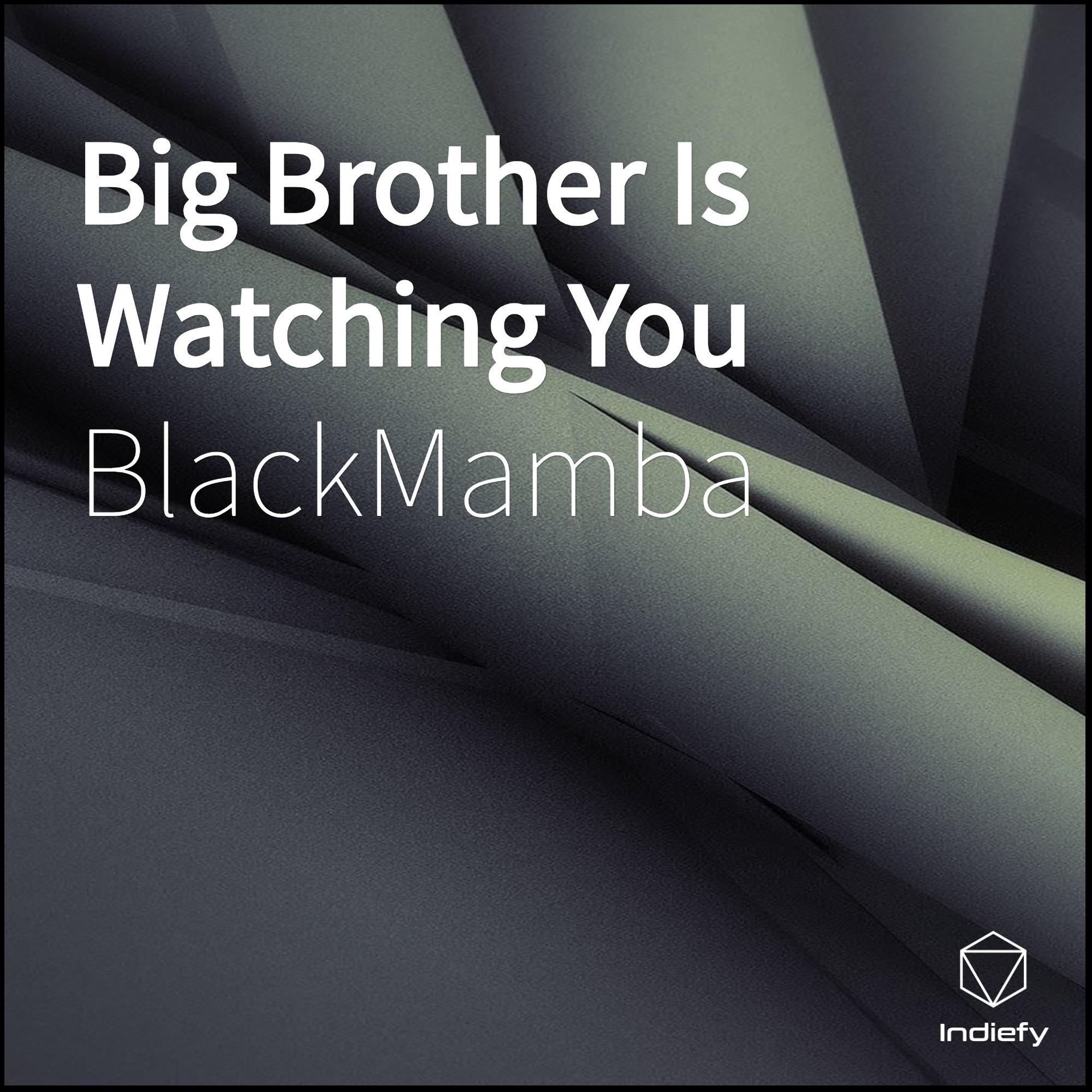 Big Brother Is Watching You