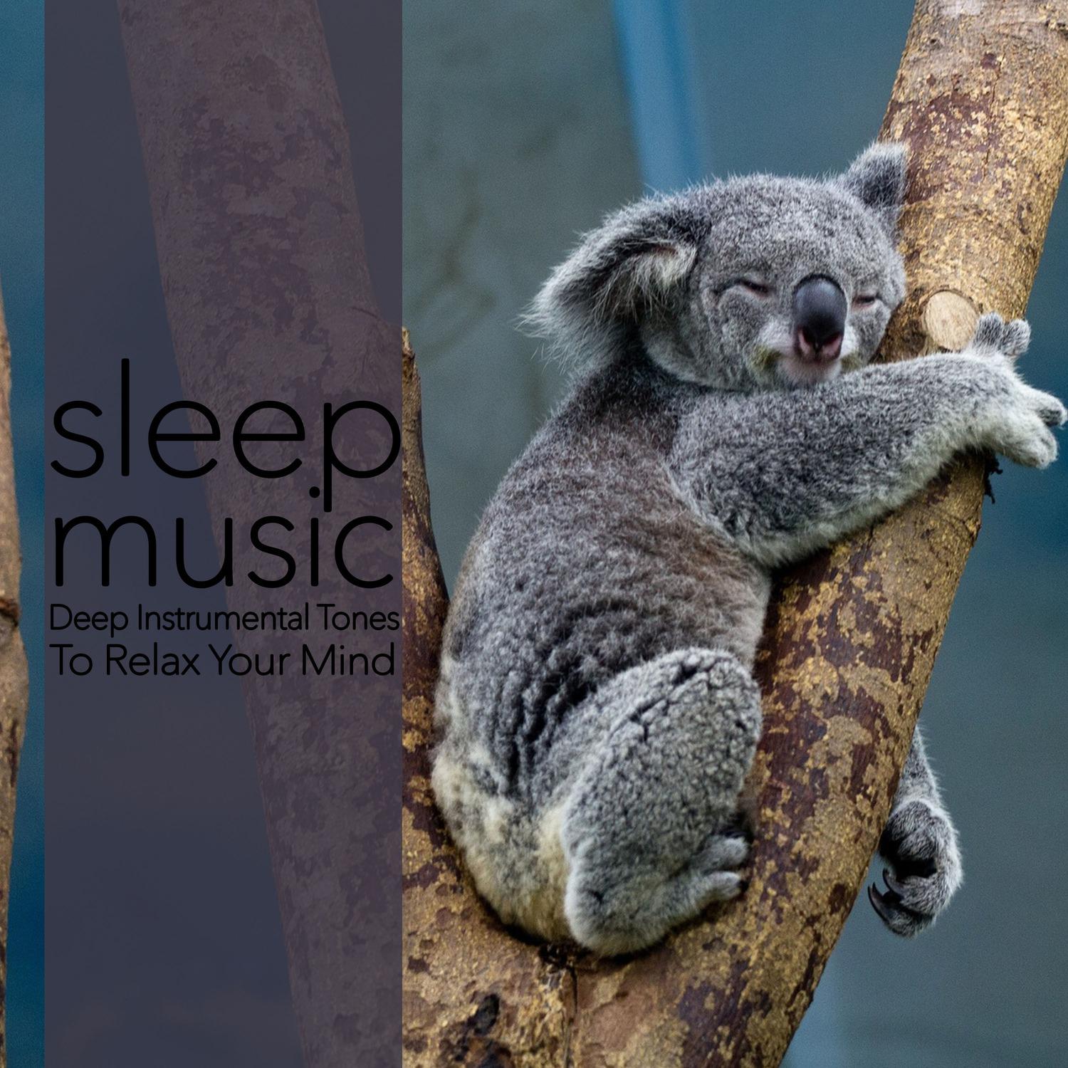 Sleep Music: Deep Instrumental Tones to Relax your Mind