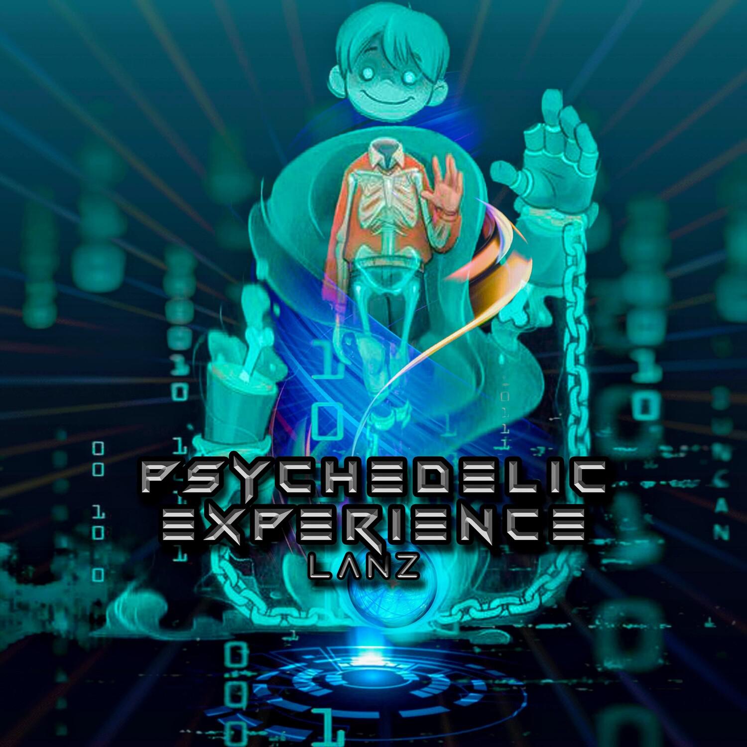 Psychedelic Experience